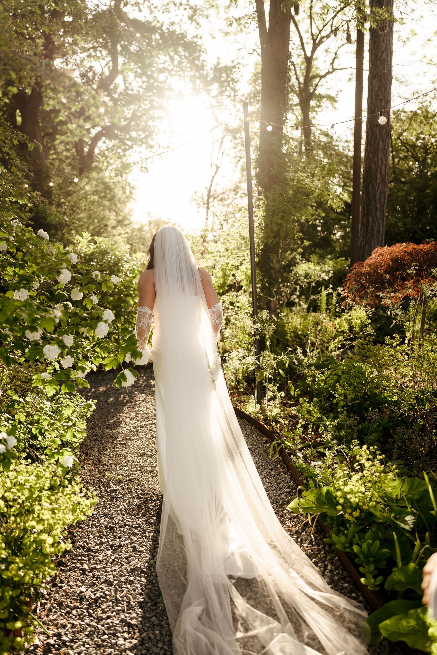 Bride in a flowing white gown and cathedral veil walks along a sunlit garden path surrounded by lush greenery.