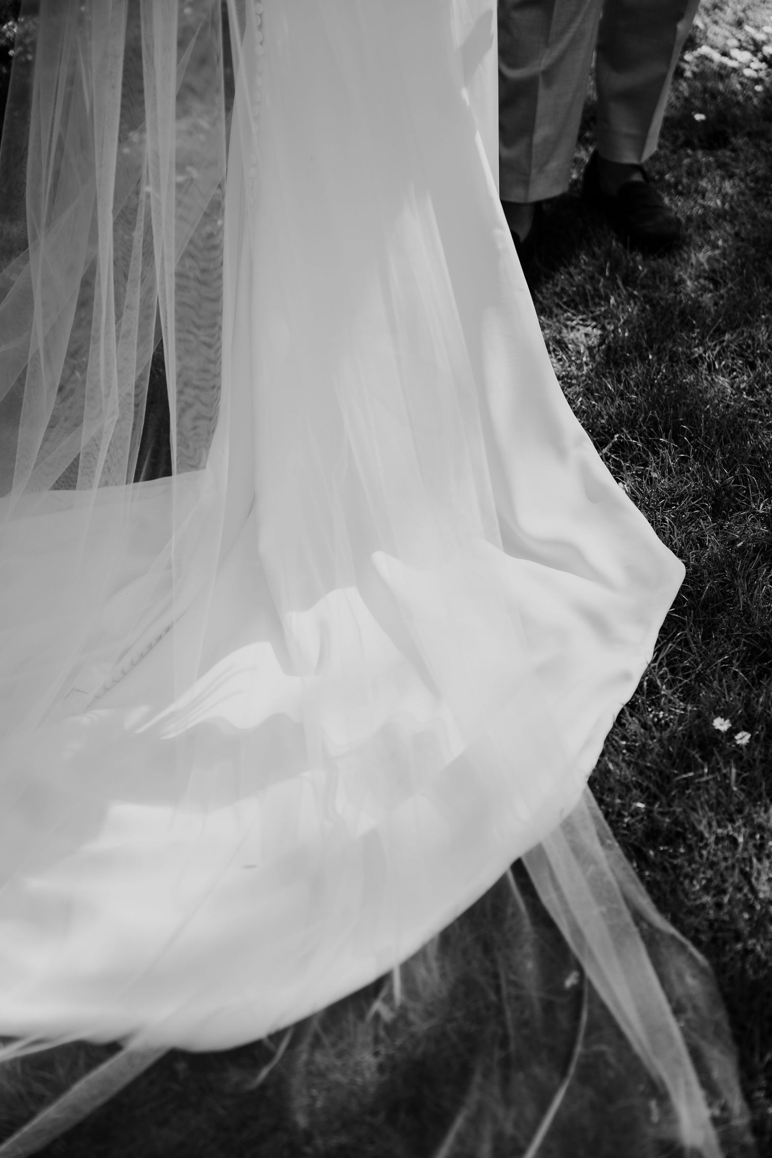 Black and white close-up of a flowing bridal gown train and veil on a garden lawn.