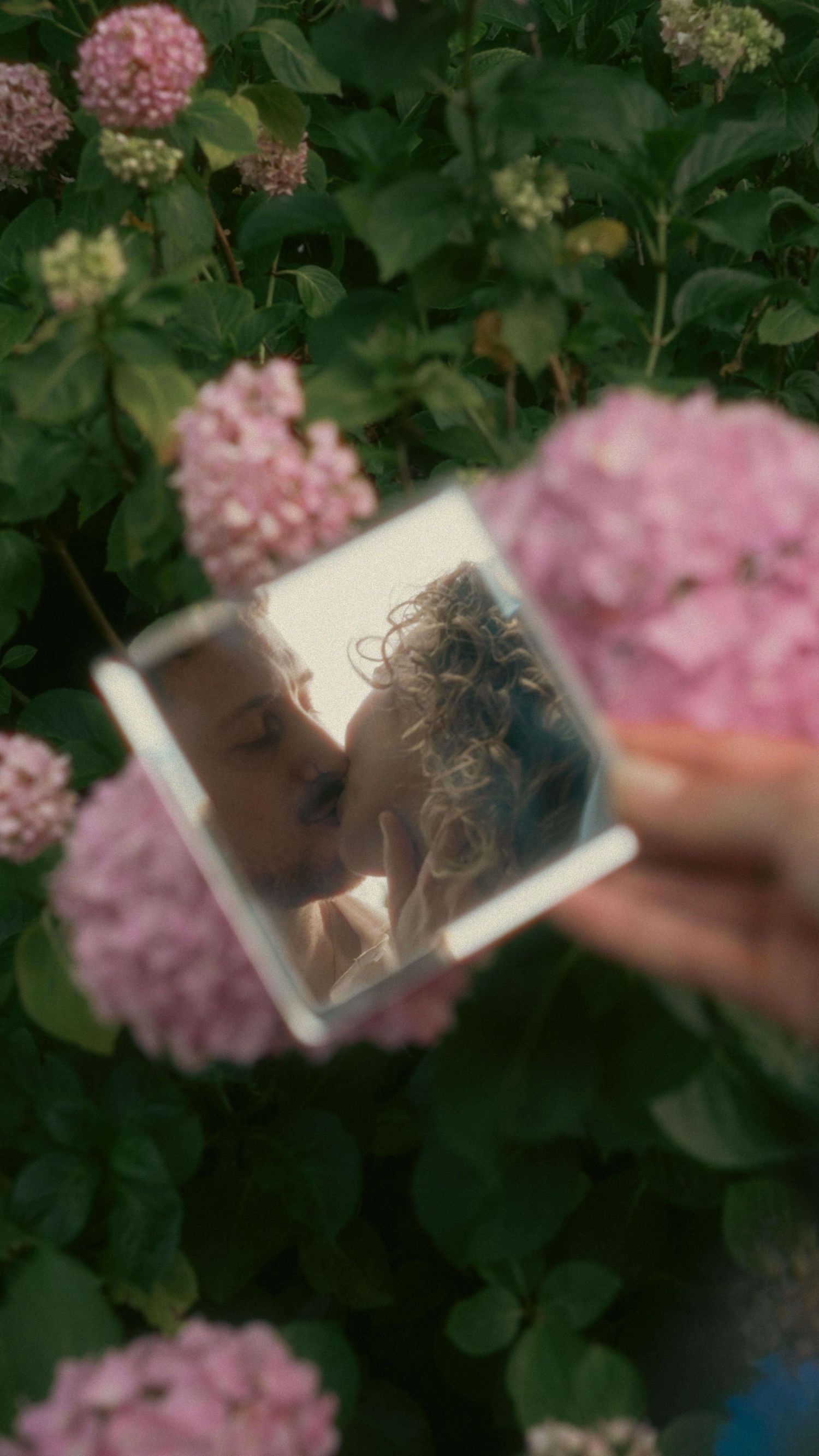 A couple sharing a kiss is captured in a mirror reflection held near pink hydrangea blooms.
