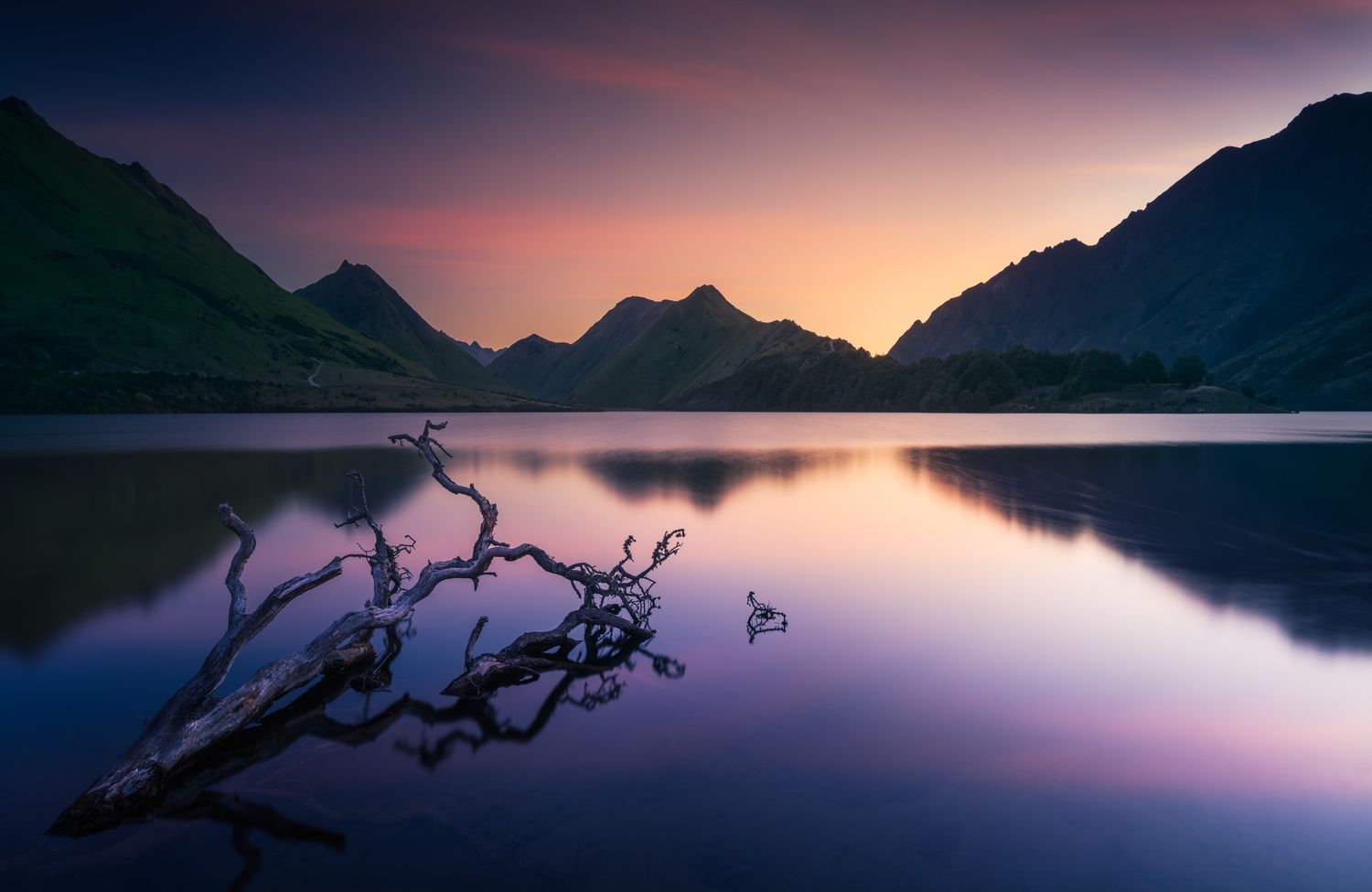 Serene mountain lake at sunset with purple hues reflecting on calm water and a bare tree branch in the foreground.
