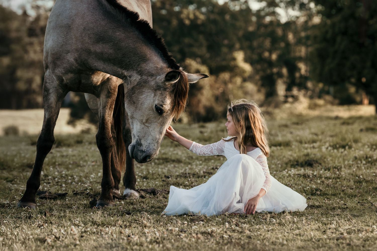 Young girl in white dress sitting on grass feeding a brown horse in a sunlit field.