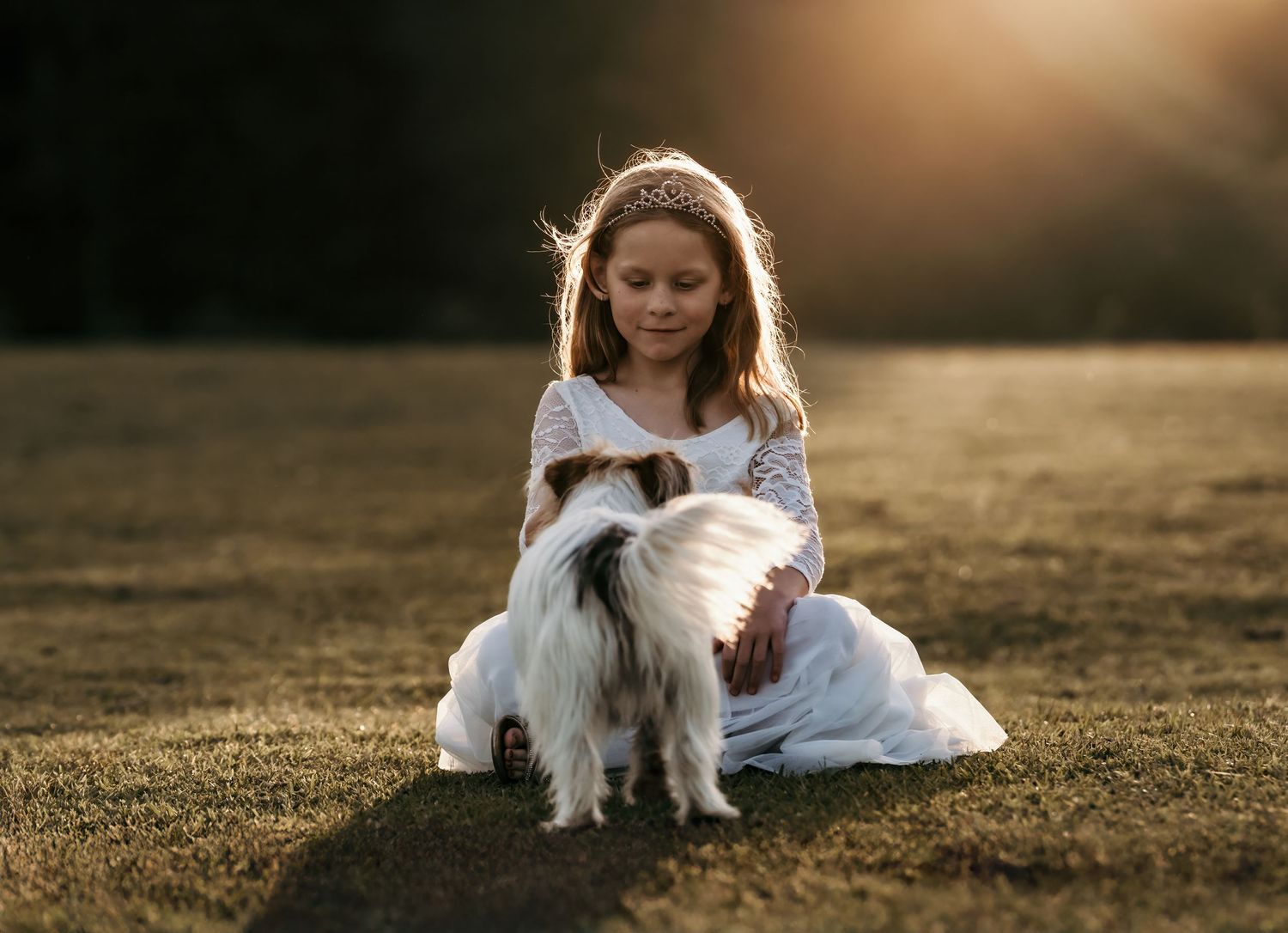 Young girl in white dress sitting on grass gently petting a small fluffy dog in sunlight.