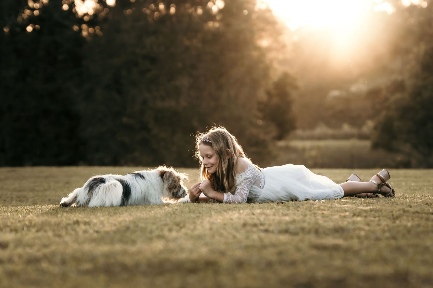 A young girl in a white dress lies on grass face-to-face with her fluffy dog in warm sunset light.