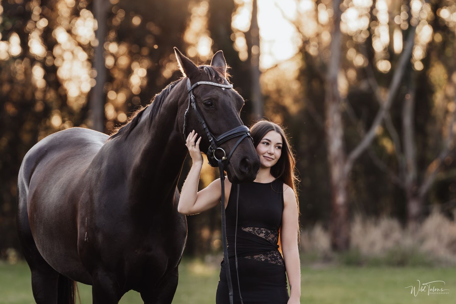 Woman in black dress poses with dark horse at golden hour in forest clearing.