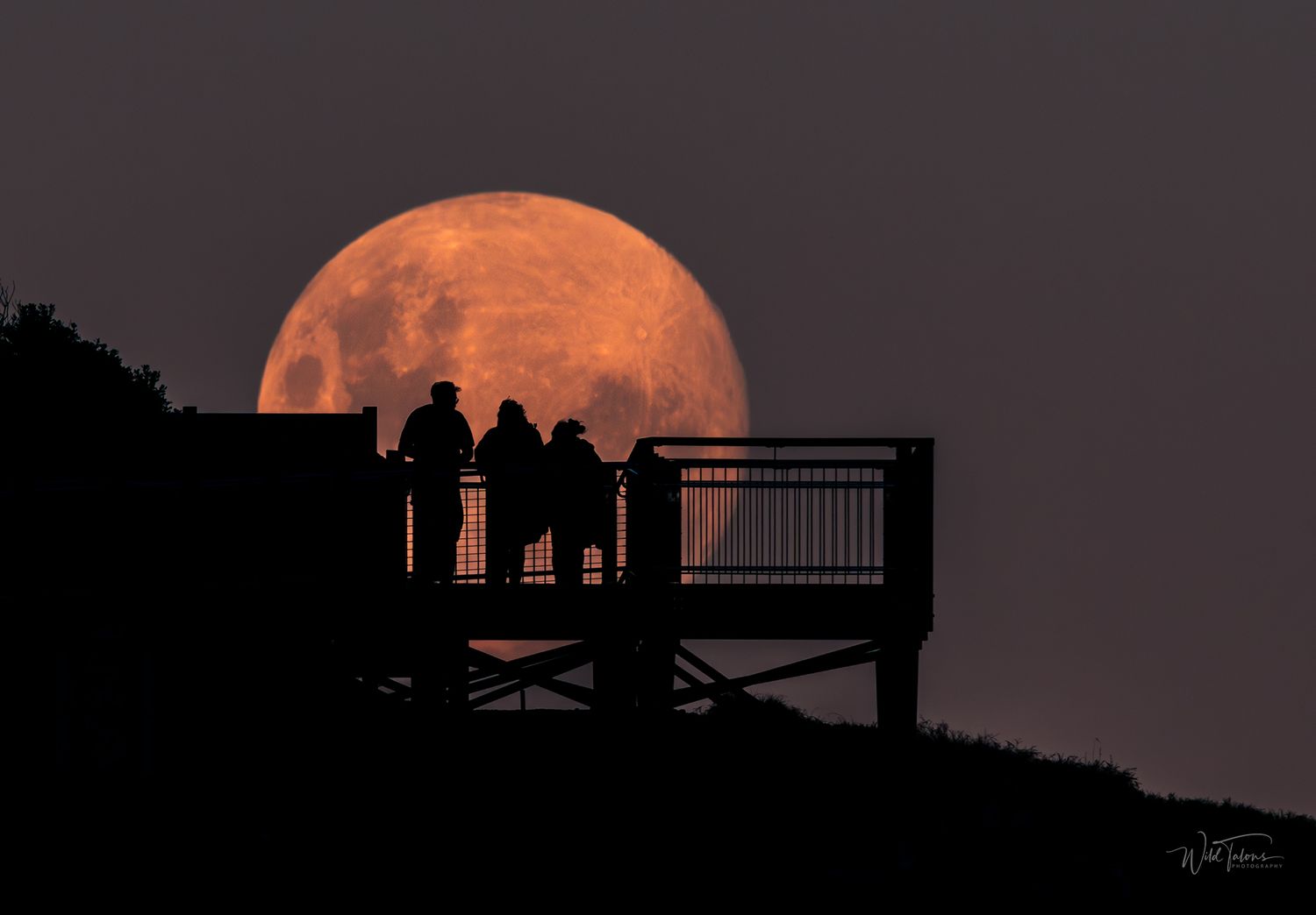 Silhouettes of people on a wooden deck viewing a large orange full moon rising against a dark twilight sky.