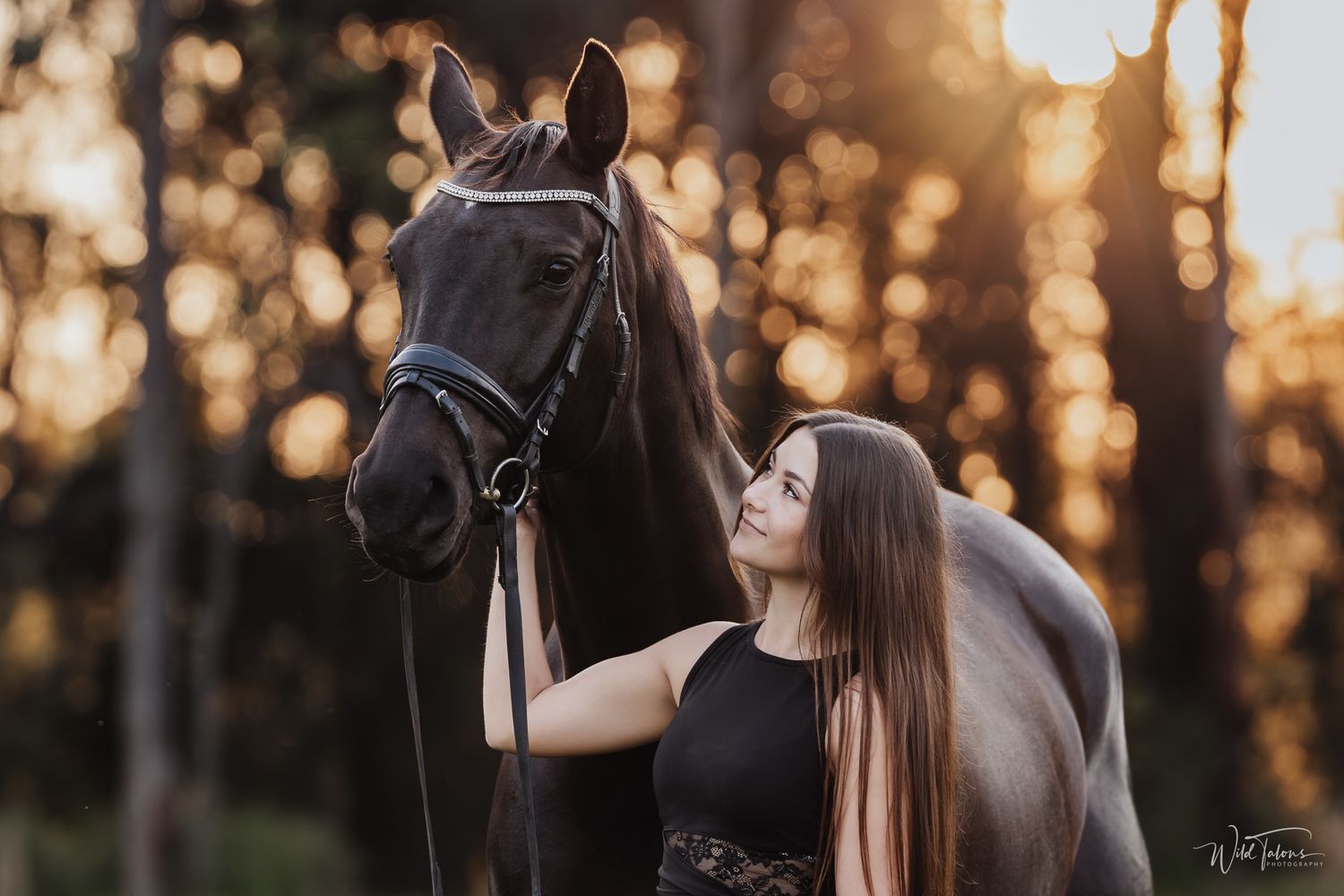 Woman in black dress standing beside a dark horse at golden hour, with sunlit trees in the background.