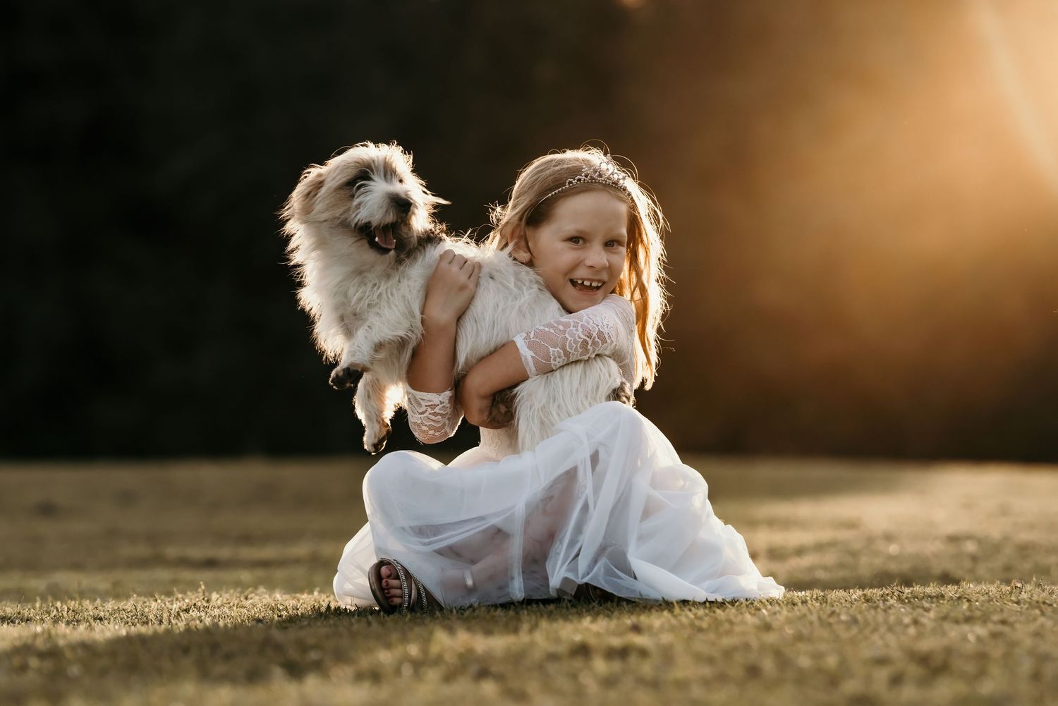 Laughing young girl in white dress holding up a fluffy puppy in golden sunset light.