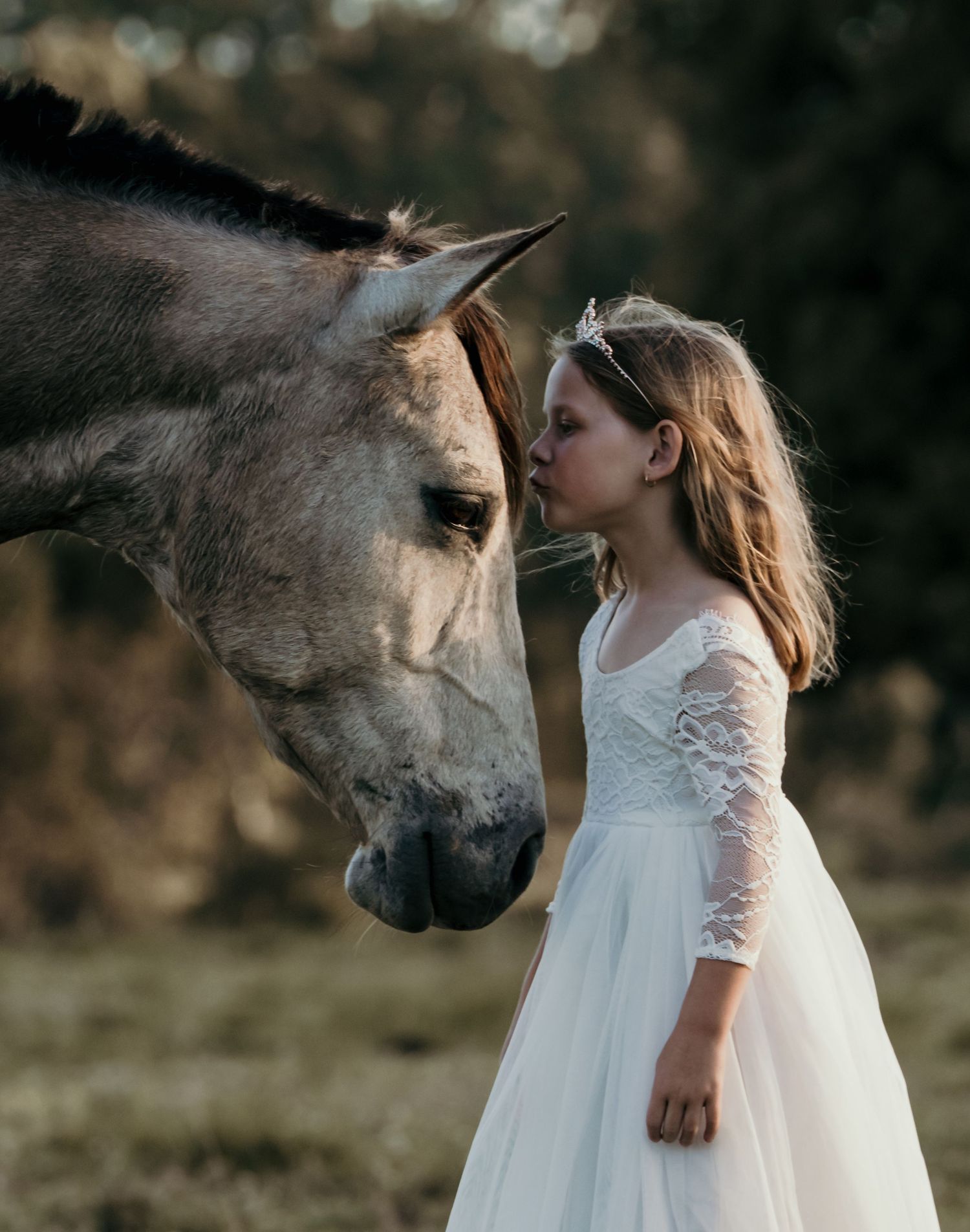 Young girl in white lace dress kissing a grey horse on the nose in a field.