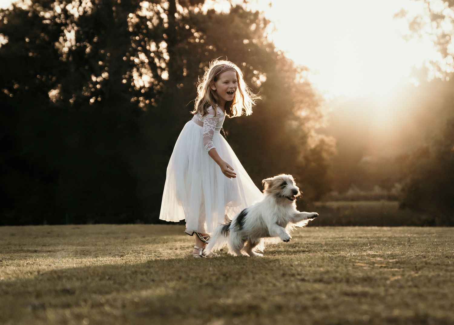 A joyful girl in a white dress runs and laughs with her dog across a golden sunlit meadow.