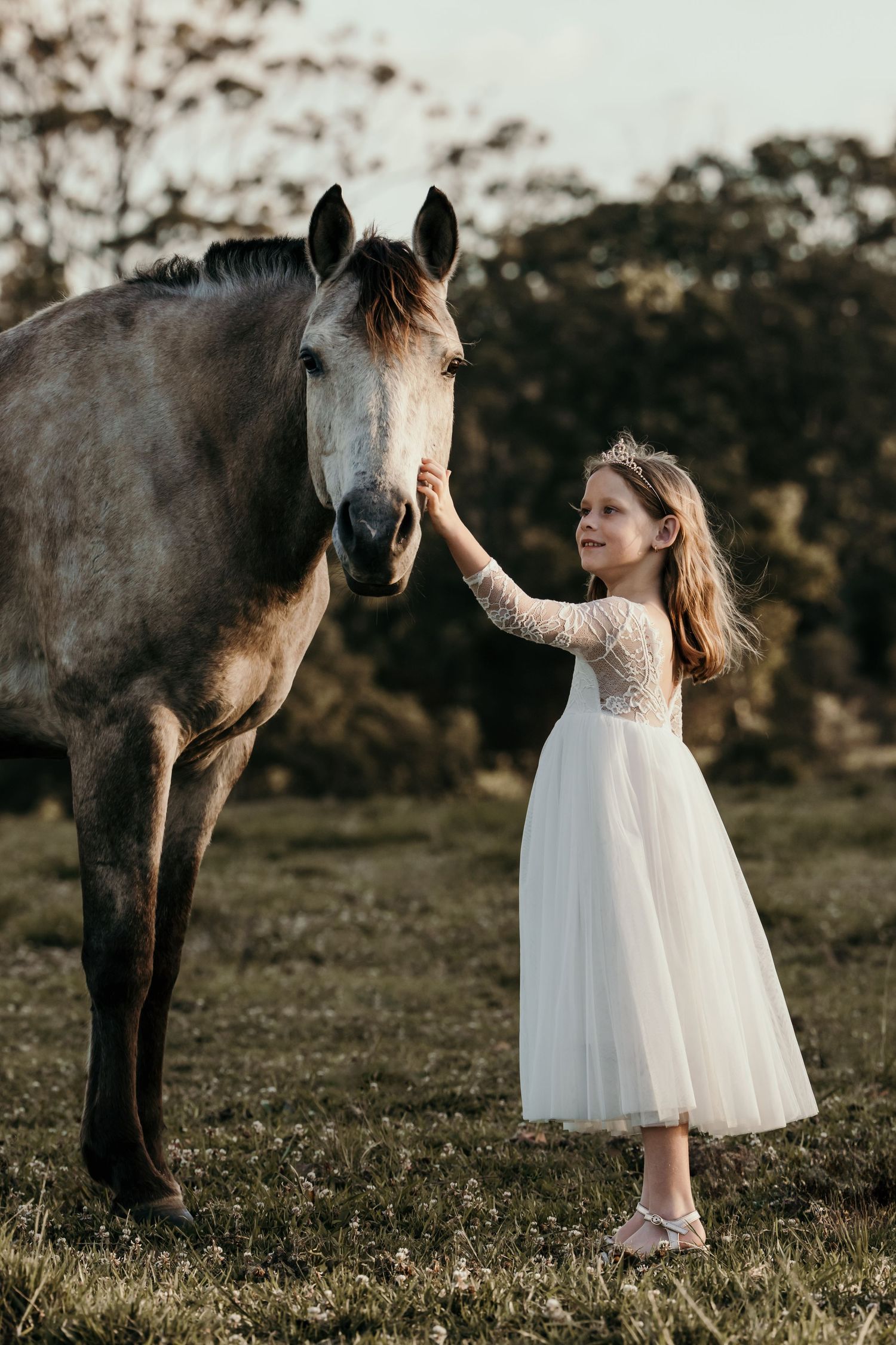 Young girl in white tulle dress gently patting a grey horse in a golden sunlit paddock.