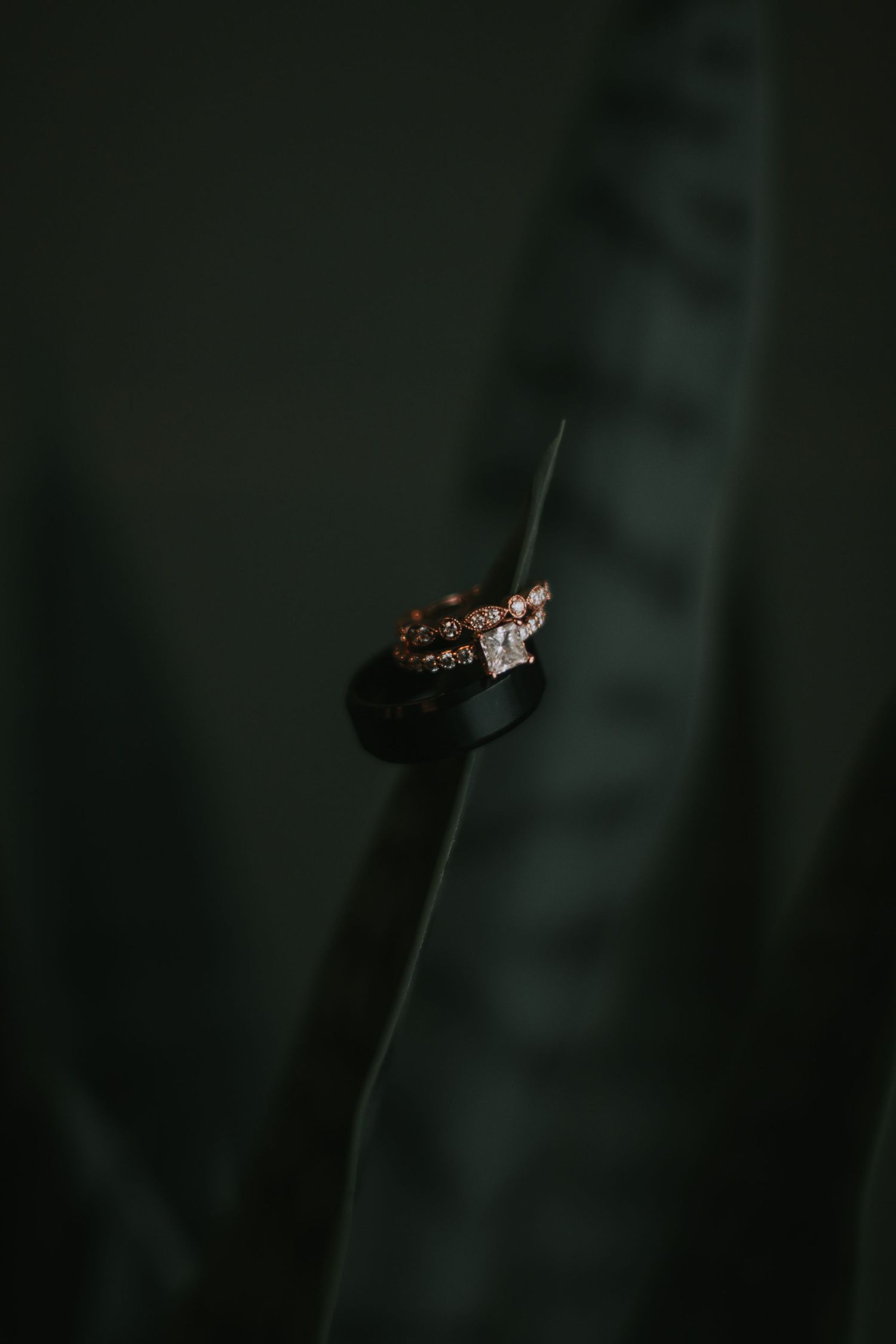 Close-up of elegant diamond engagement ring and wedding band resting on a dark green tropical leaf.