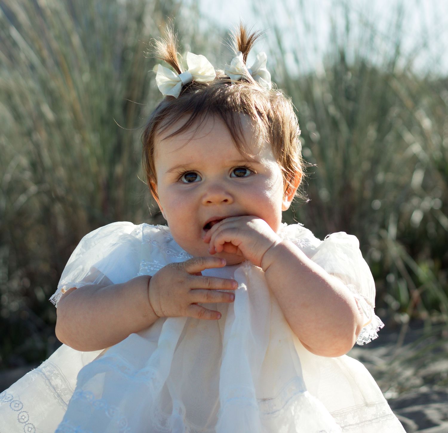 Baby at San Luis Obispo, central coast, California