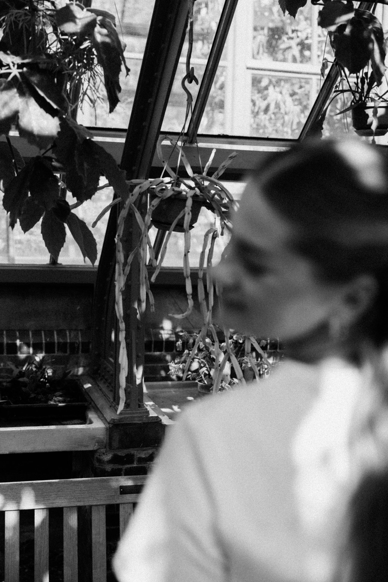 Black and white artistic photo of a woman in profile near lush indoor plants by a window.