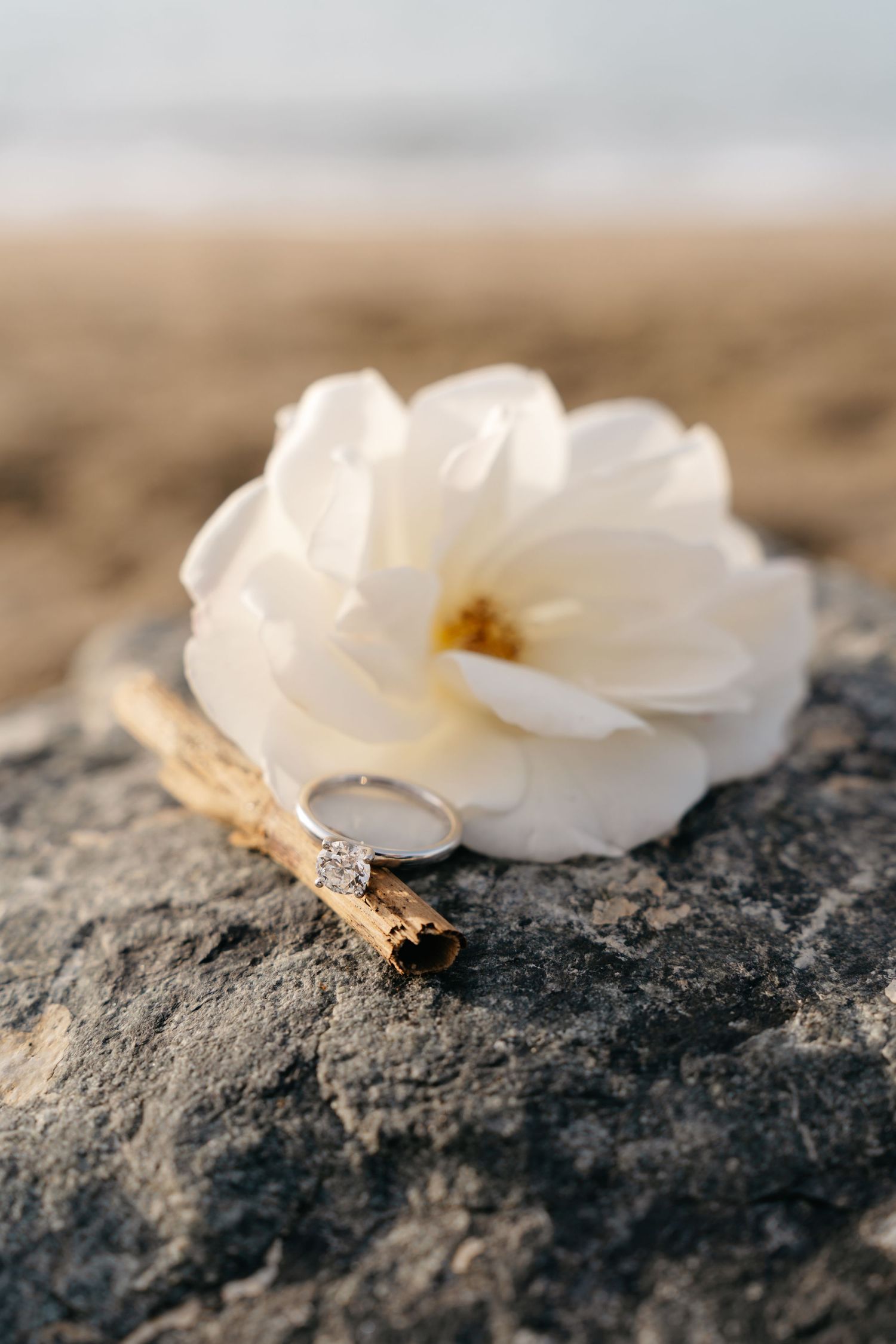 Diamond engagement ring beside a white flower on a rocky beach at sunset.