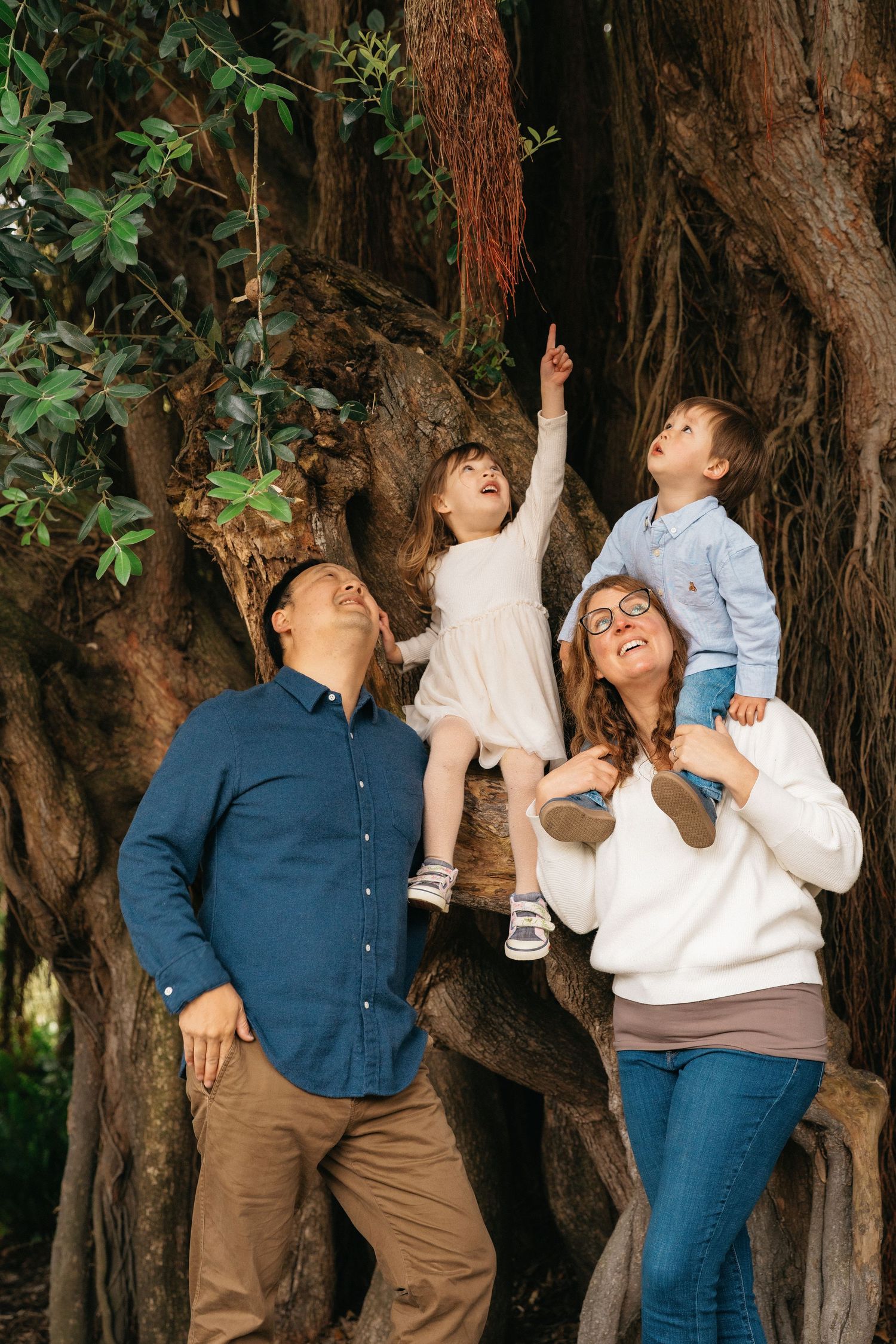 Family of four laughs and plays together beside a large ancient tree in a lush park.