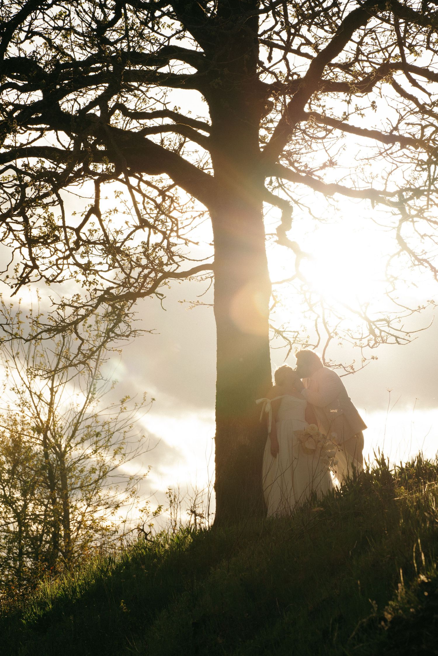 Couple silhouetted under large tree with golden sunlight and misty lake backdrop.
