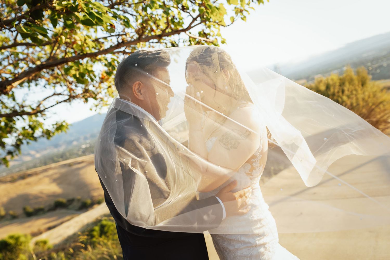 Bride and groom sharing a romantic moment under a flowing veil with scenic countryside views on their wedding day.