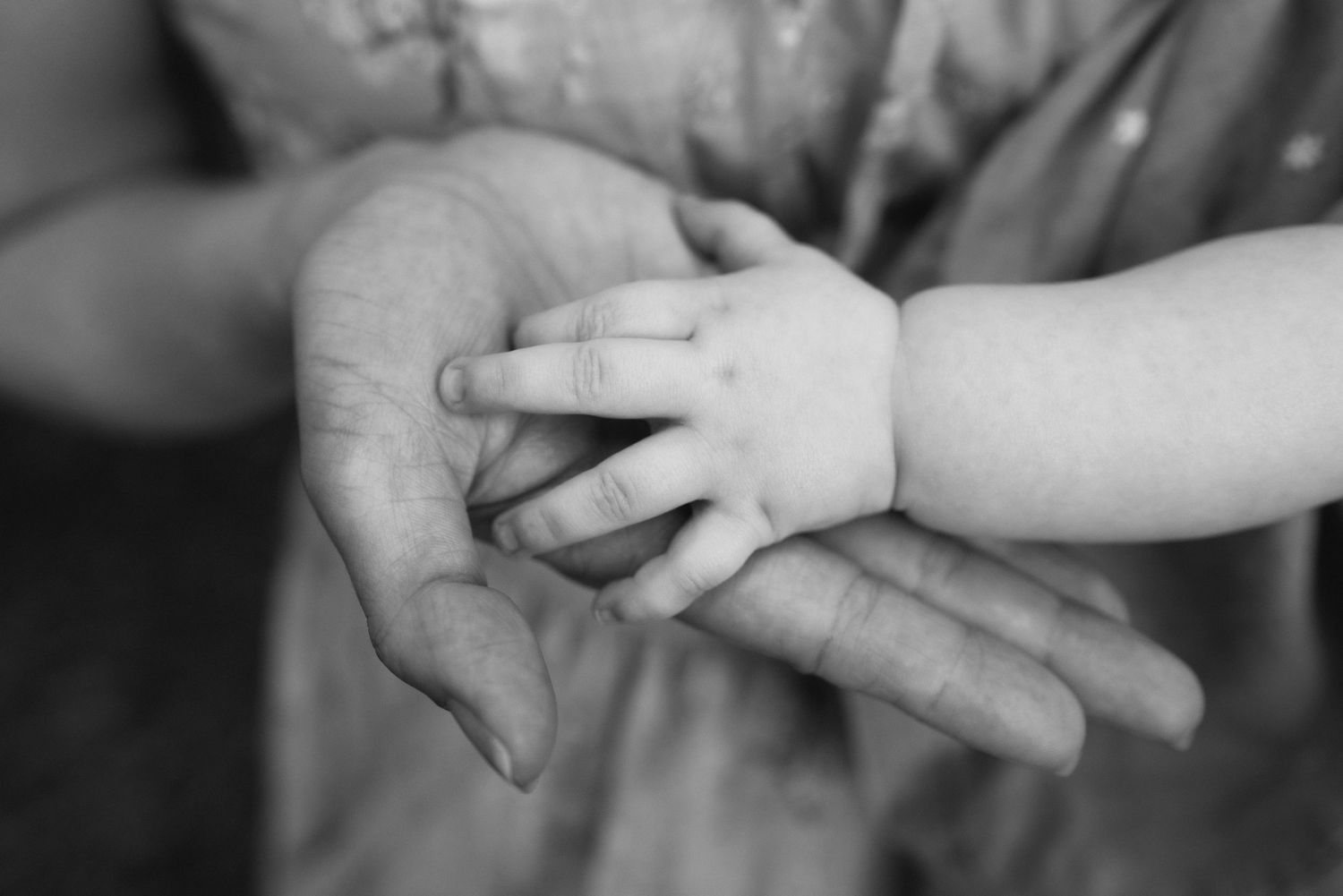 Black and white photo of a baby's tiny hand resting gently in an adult's open palm.