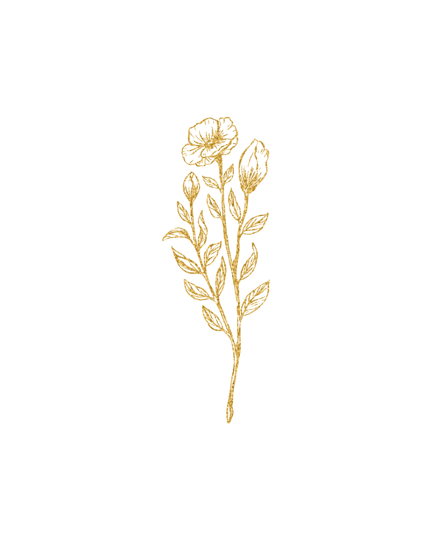 Delicate gold illustrated rose stem with blooms and leaves on a clean white background.