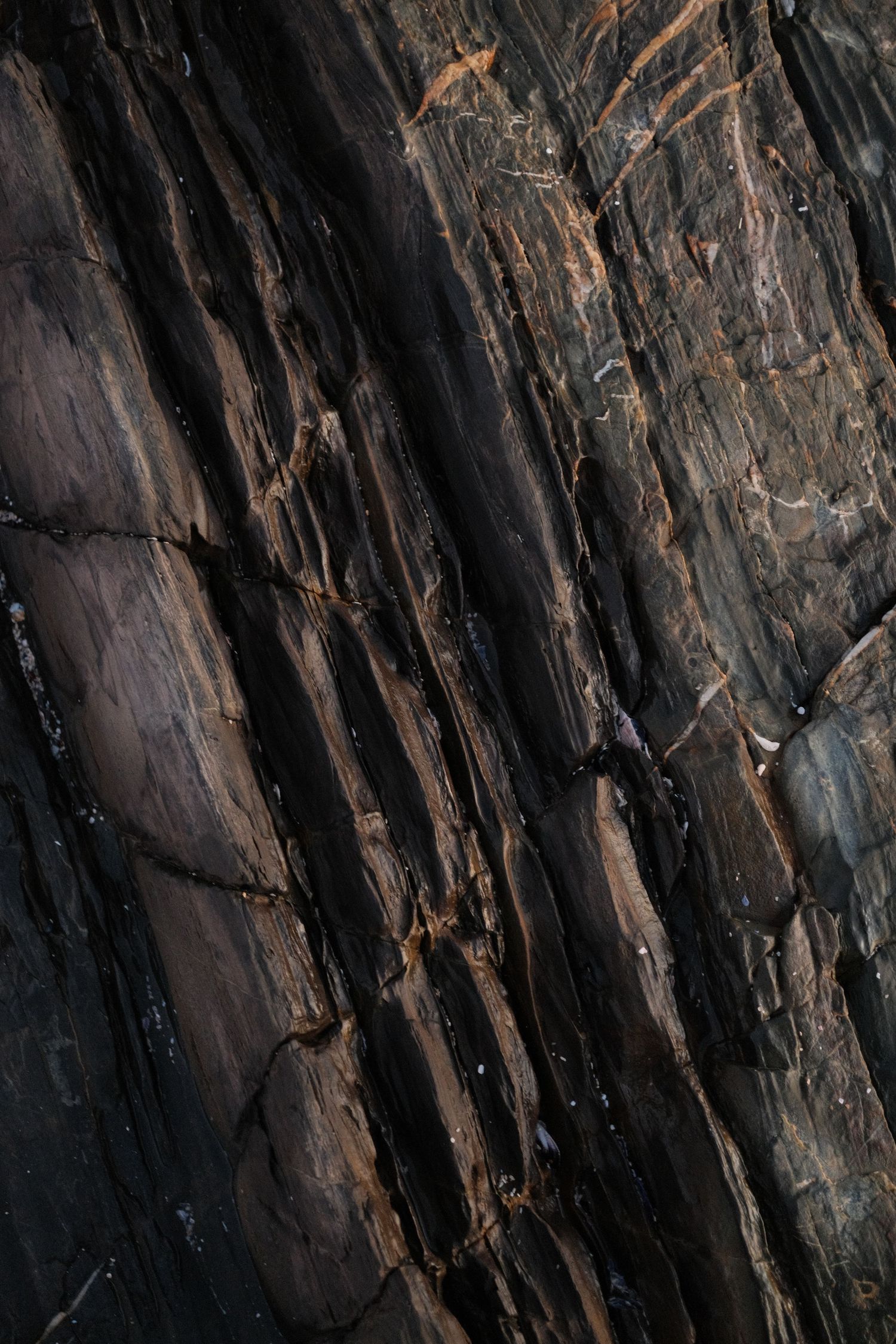 Close-up of dark layered rock surface with brown and black mineral veins creating natural diagonal striped texture pattern.