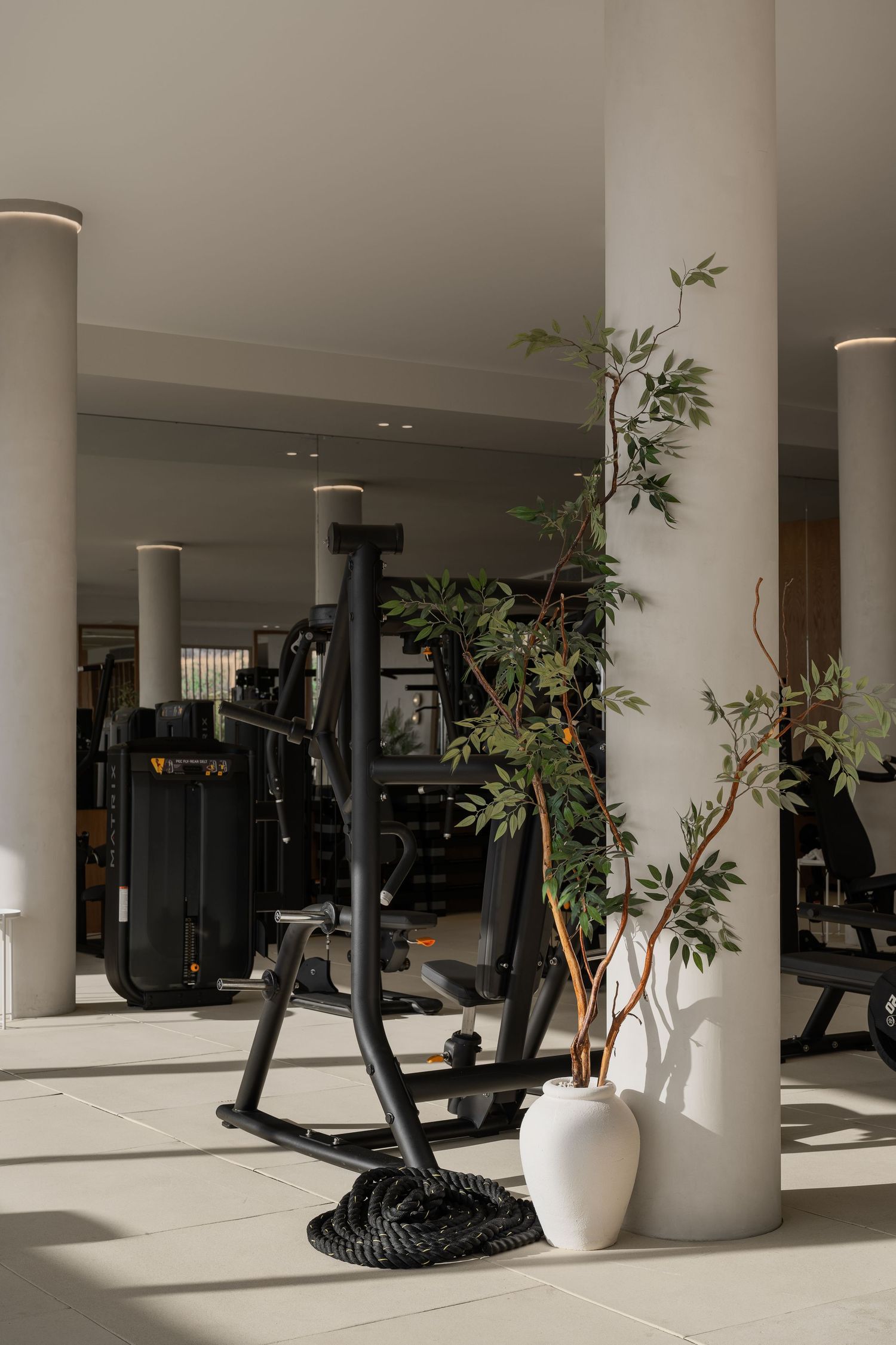 Modern gym interior with black strength training equipment, tall white columns, and decorative potted plants.
