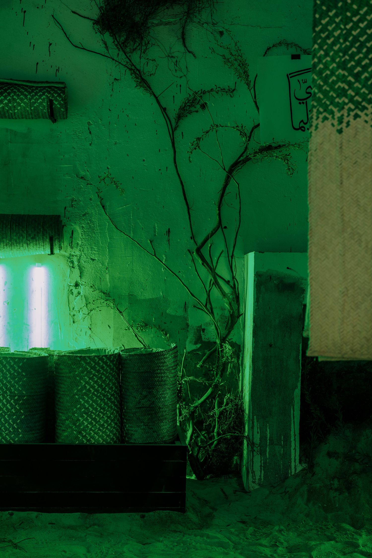 Eerie green-lit abandoned room with bare tree branches, wire mesh containers, and peeling walls.