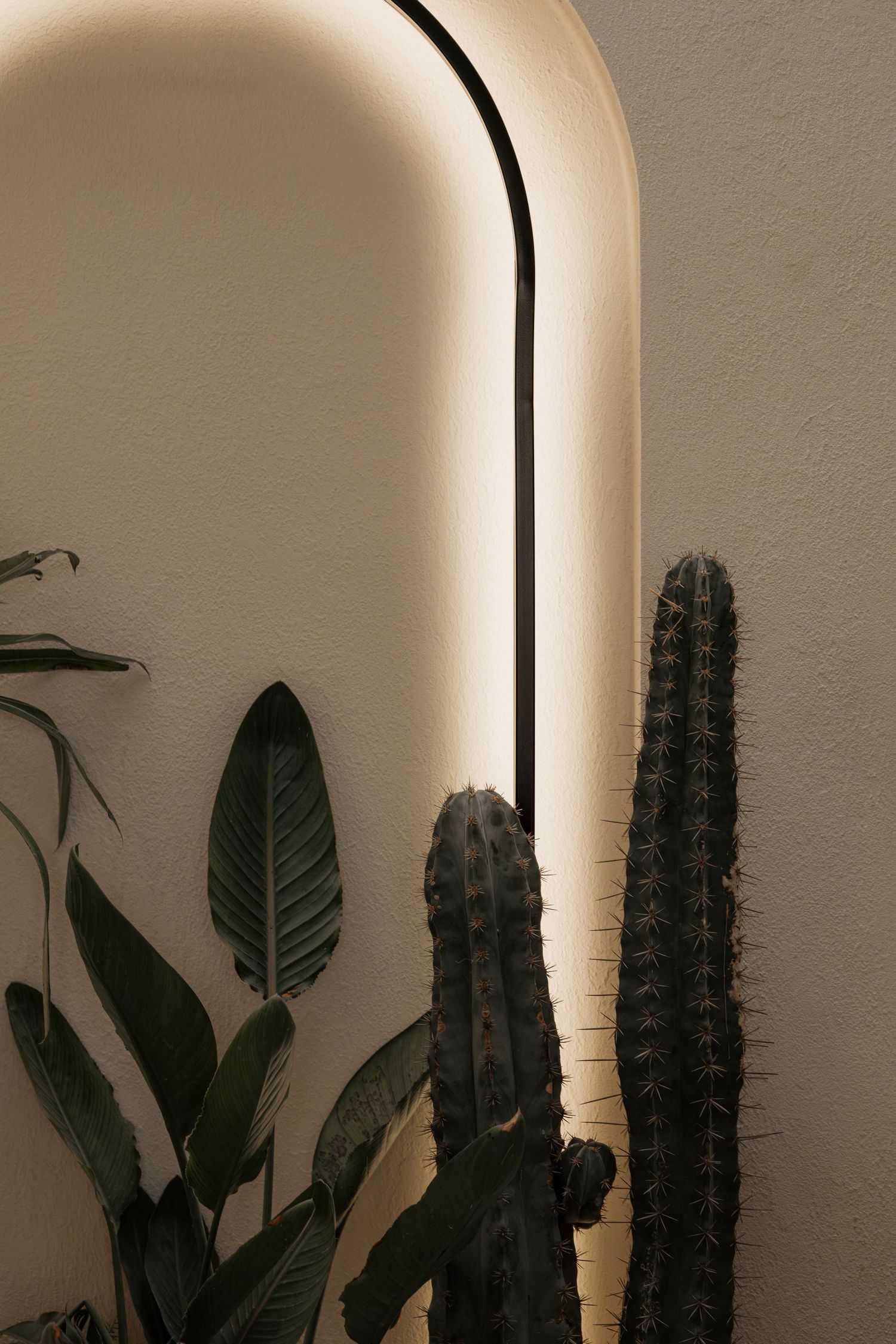 Tall cactus and tropical plants beside a glowing backlit arch niche on a warm beige interior wall.