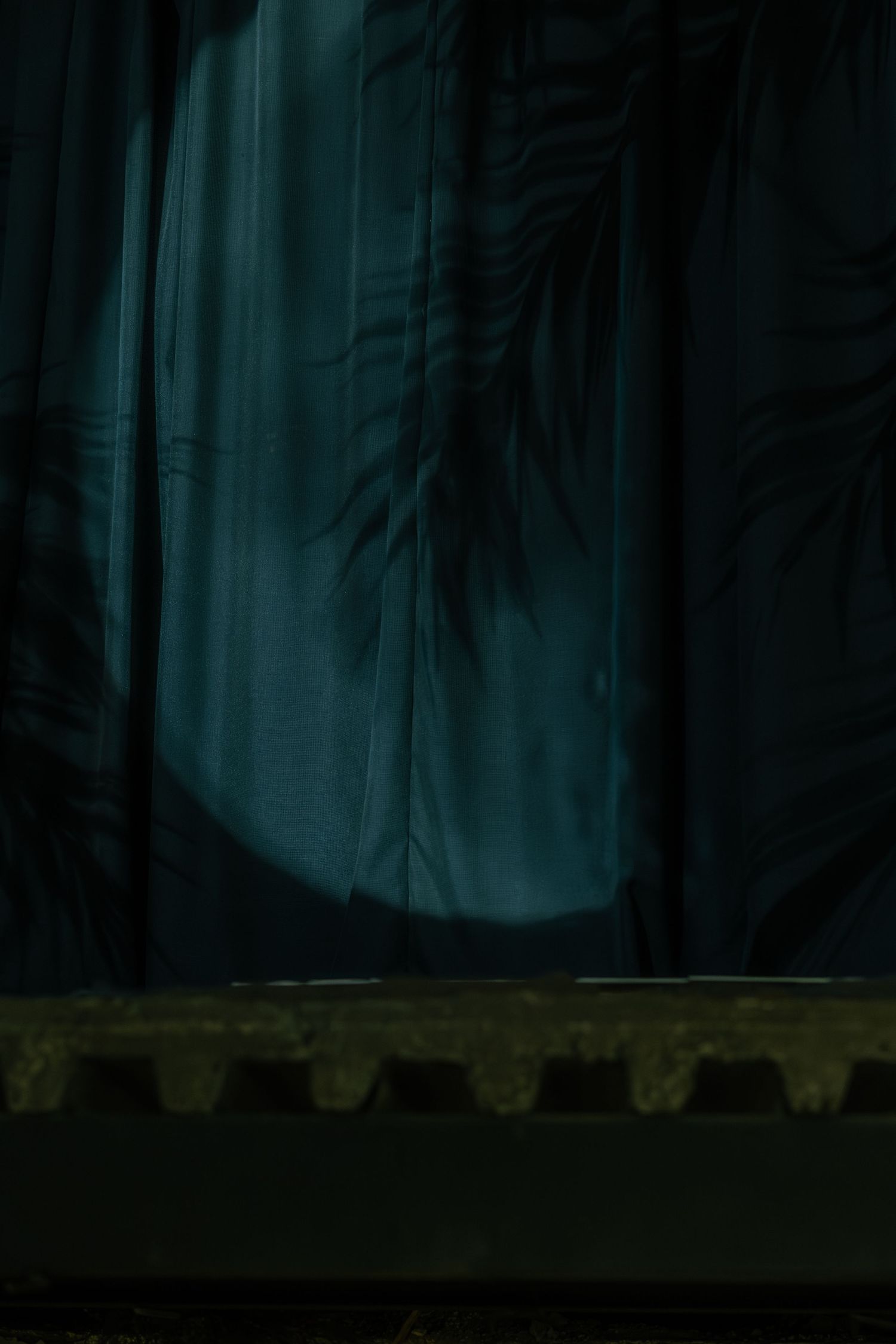 Dark teal velvet curtain with dramatic spotlight and delicate palm leaf shadows on ornate stage.