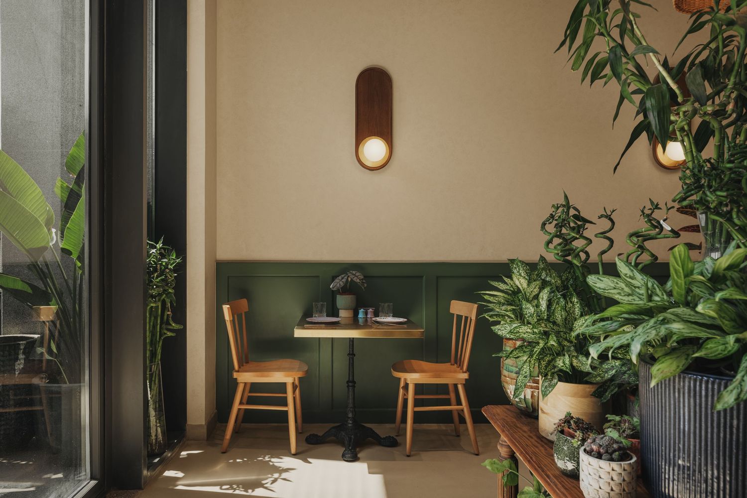 Cozy cafe corner with wooden chairs, small table, green wainscoting, and lush indoor plants.