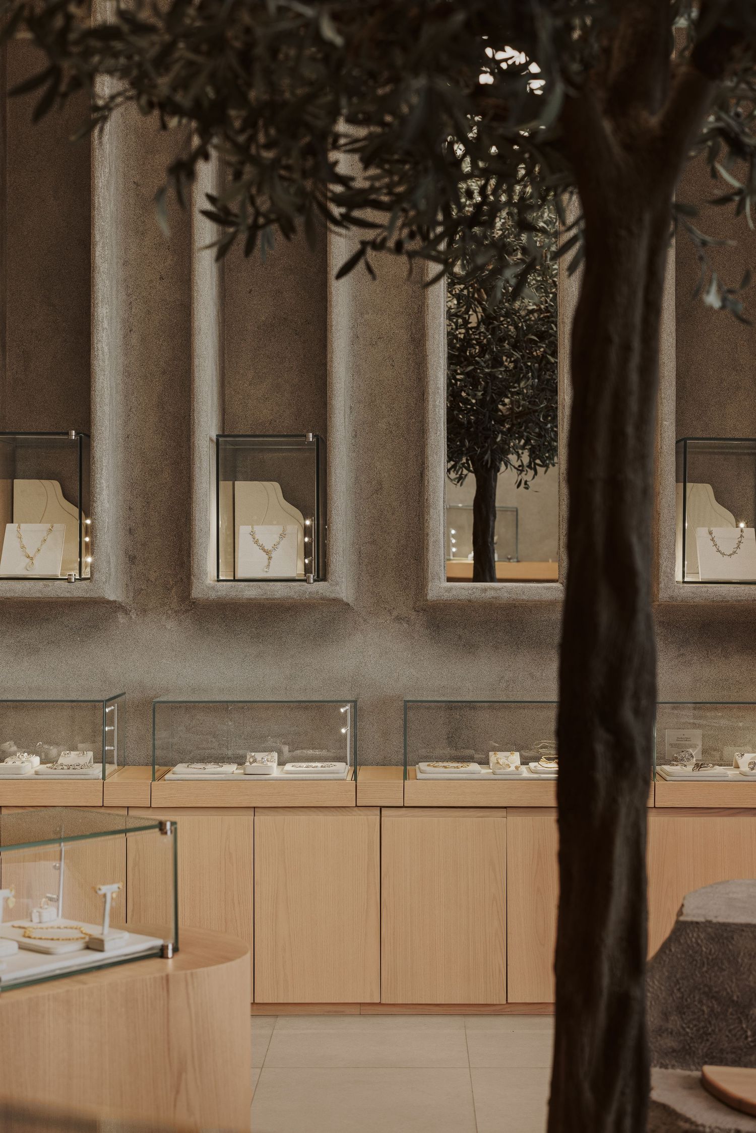 Elegant jewelry boutique interior with natural olive tree, wooden cabinets, and lit wall display cases showcasing fine jewelry.