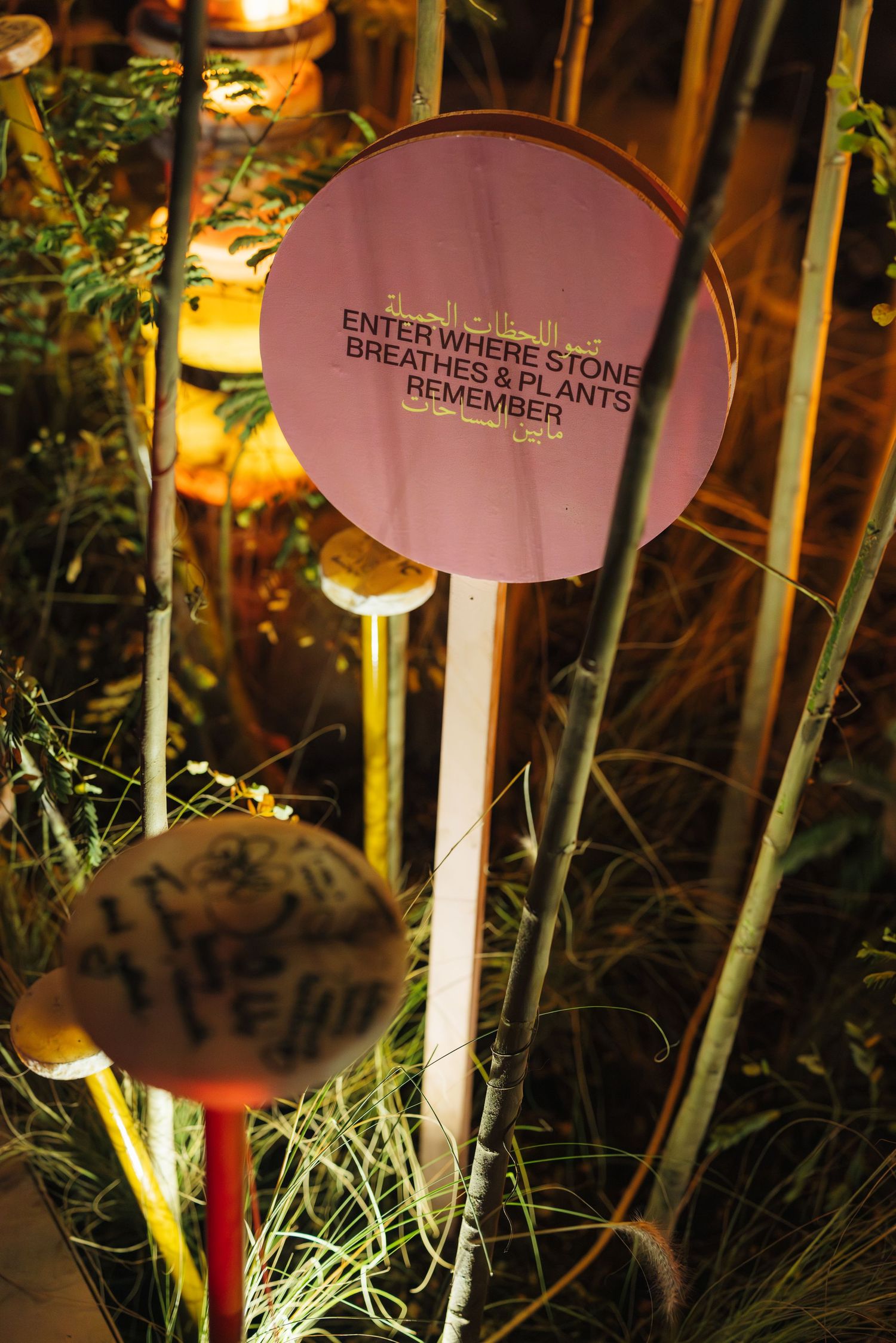 Sign reading Enter Where Stone Breathes and Plants Remember on a stake among plants in a night garden.