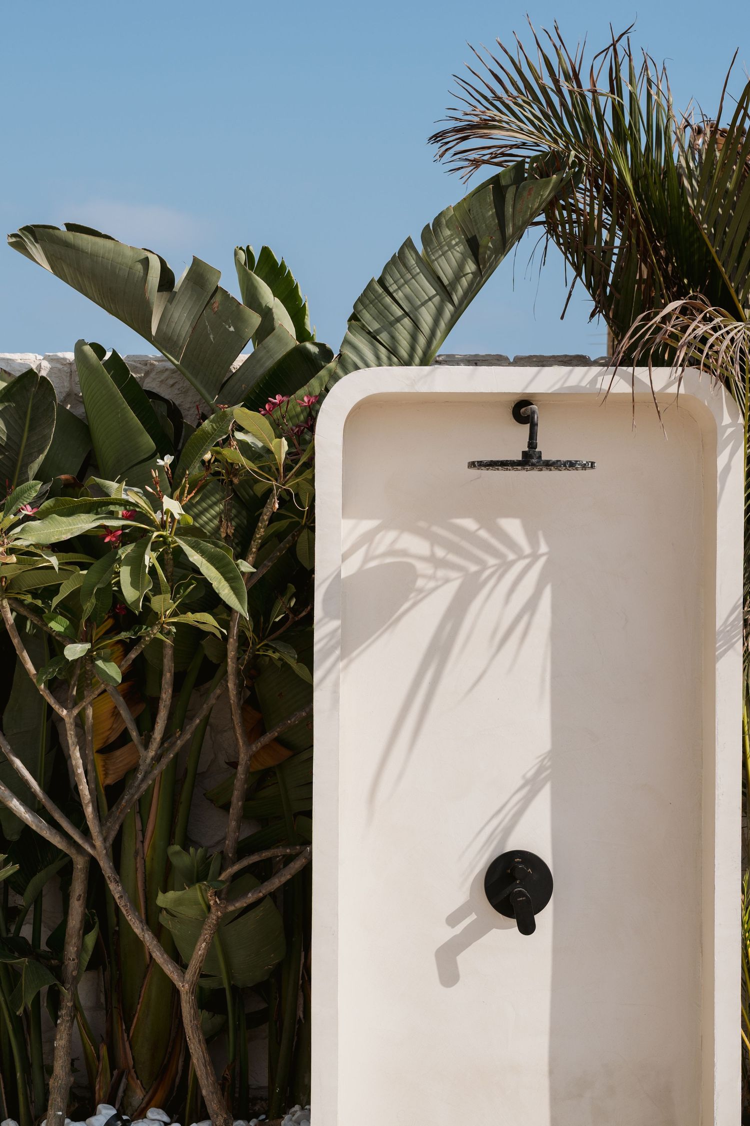 Minimalist white outdoor shower with black fixtures surrounded by tropical frangipani and banana plants under blue sky.