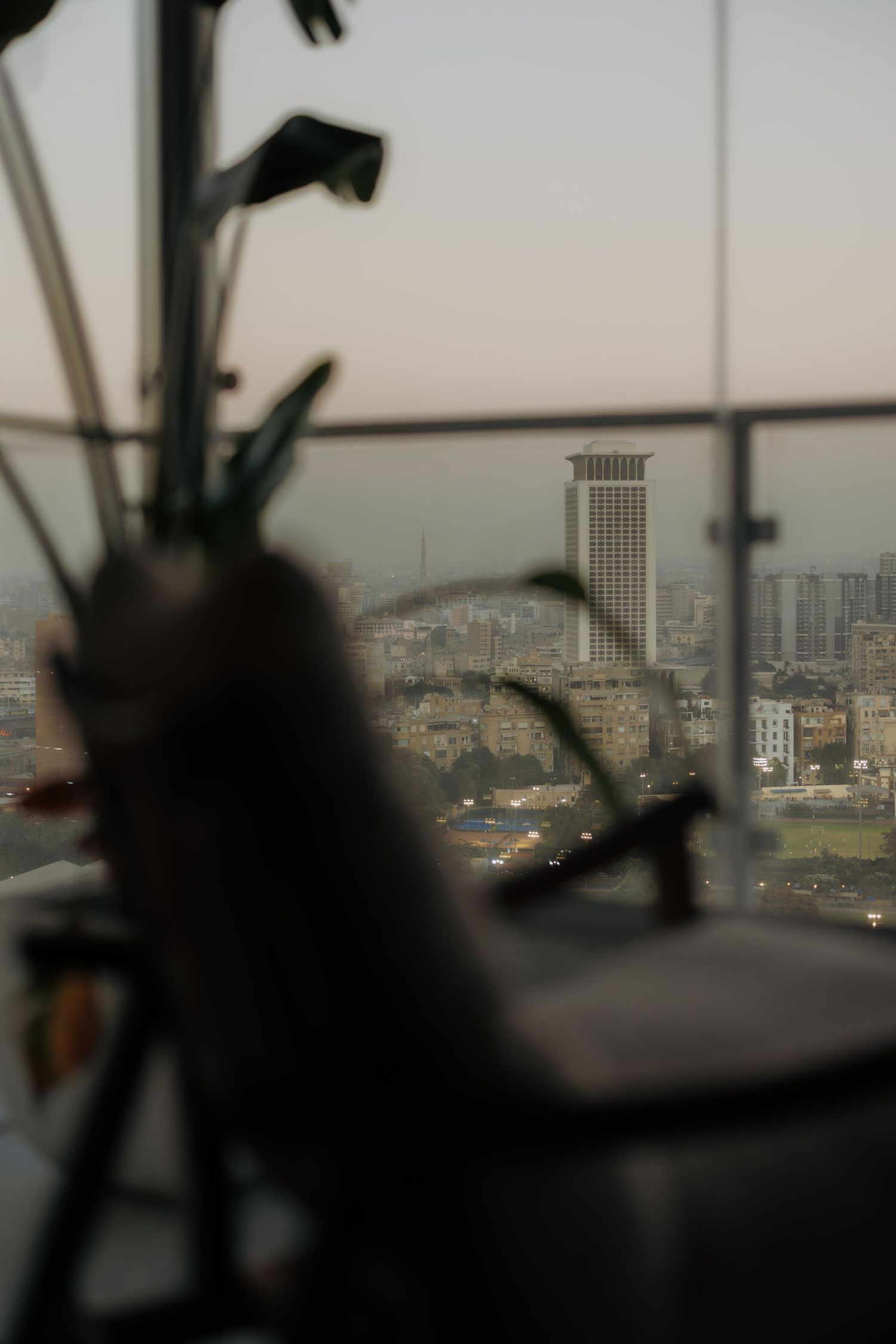 Atmospheric cityscape view through glass window with silhouetted decorative branches and urban skyline at dusk.