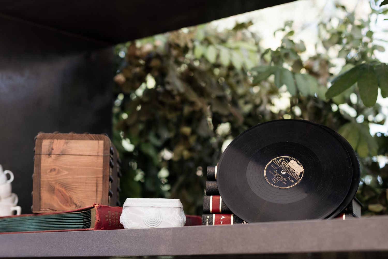 Vintage vinyl record displayed on a shelf with ceramic dishes and wooden box amid lush green foliage.