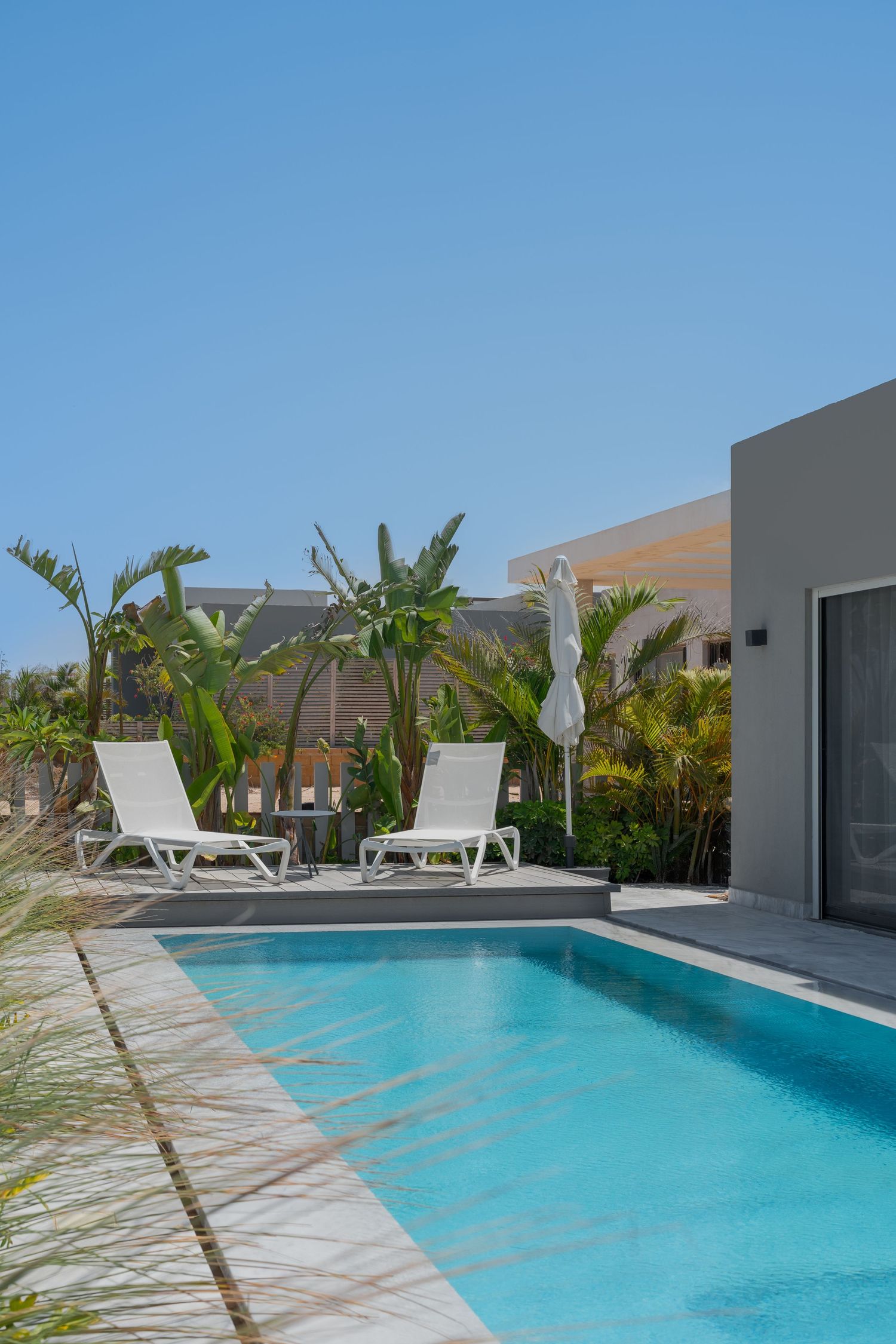 Bright outdoor pool with white lounge chairs, umbrella, tropical palm trees, and clear blue sky backdrop.