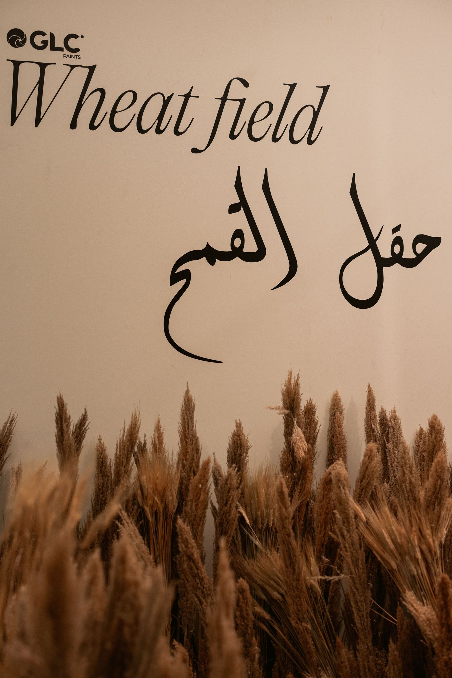 GLC Wheat Field display with dried golden wheat stalks and Arabic calligraphy text on beige background.