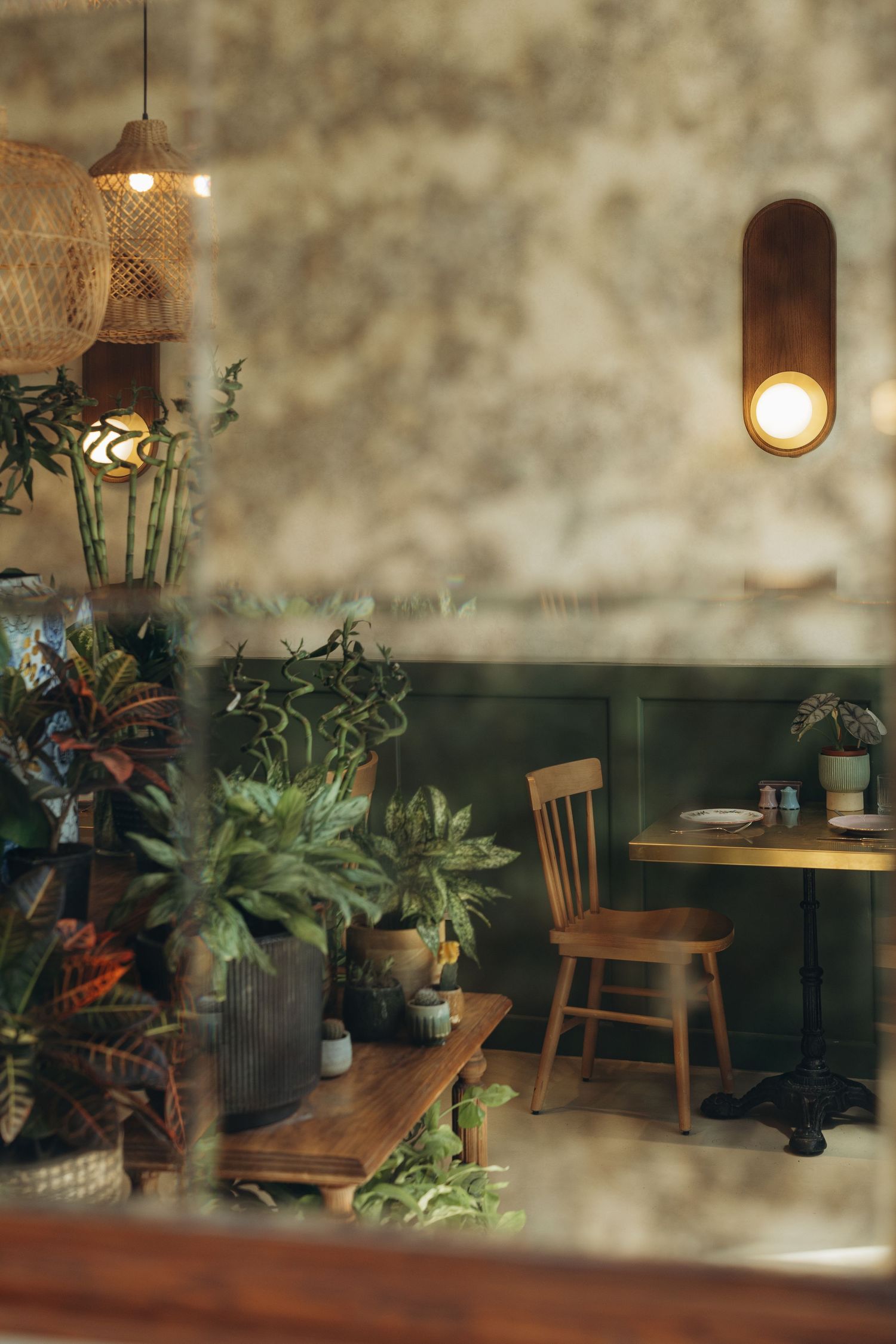 Lush cafe interior viewed through glass with green walls, tropical plants, wicker pendant lamp, and warm wall sconce.