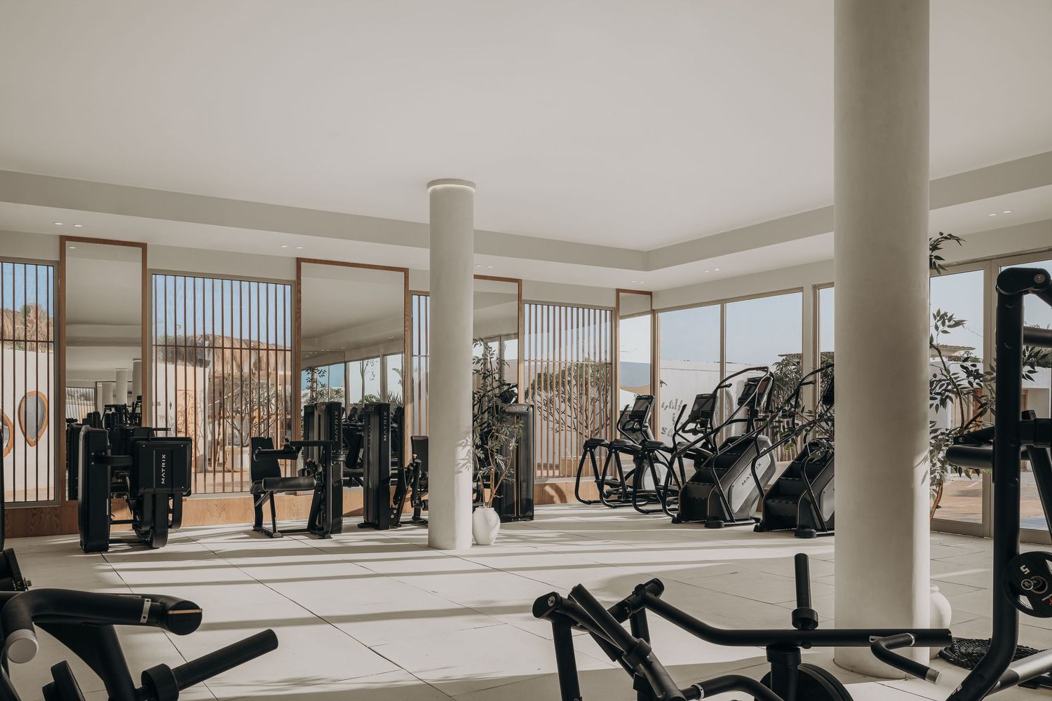 Spacious bright gym with black strength training equipment, white columns, and panoramic windows overlooking desert landscape.
