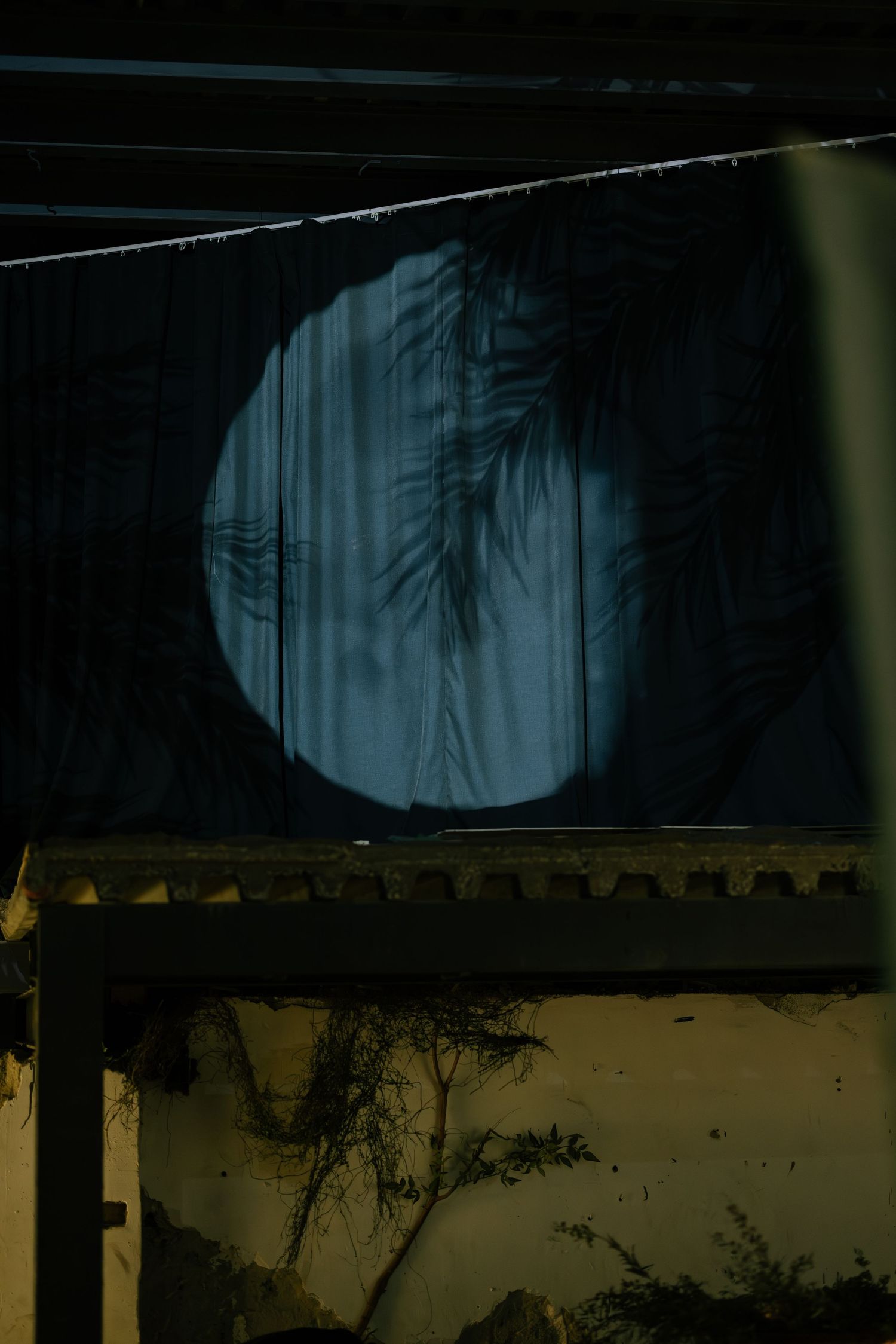 Dark silhouette of palm tree shadows cast on a circular blue fabric hung on a wall.