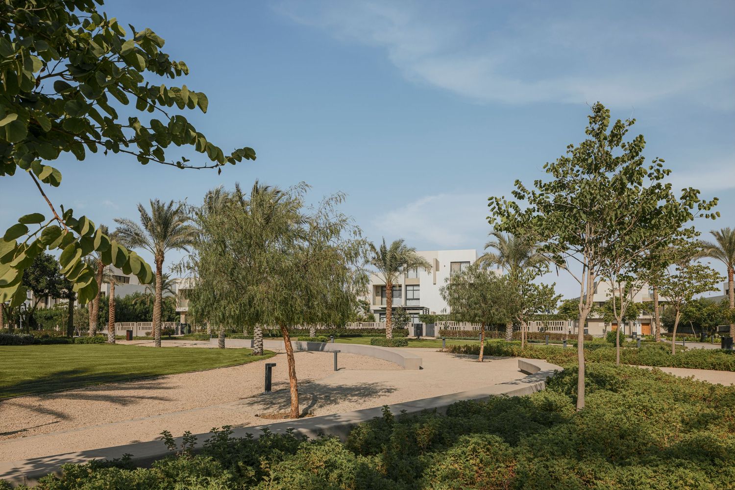 Lush green park with palm trees, sandy pathways, and modern white residential buildings under a clear blue sky.