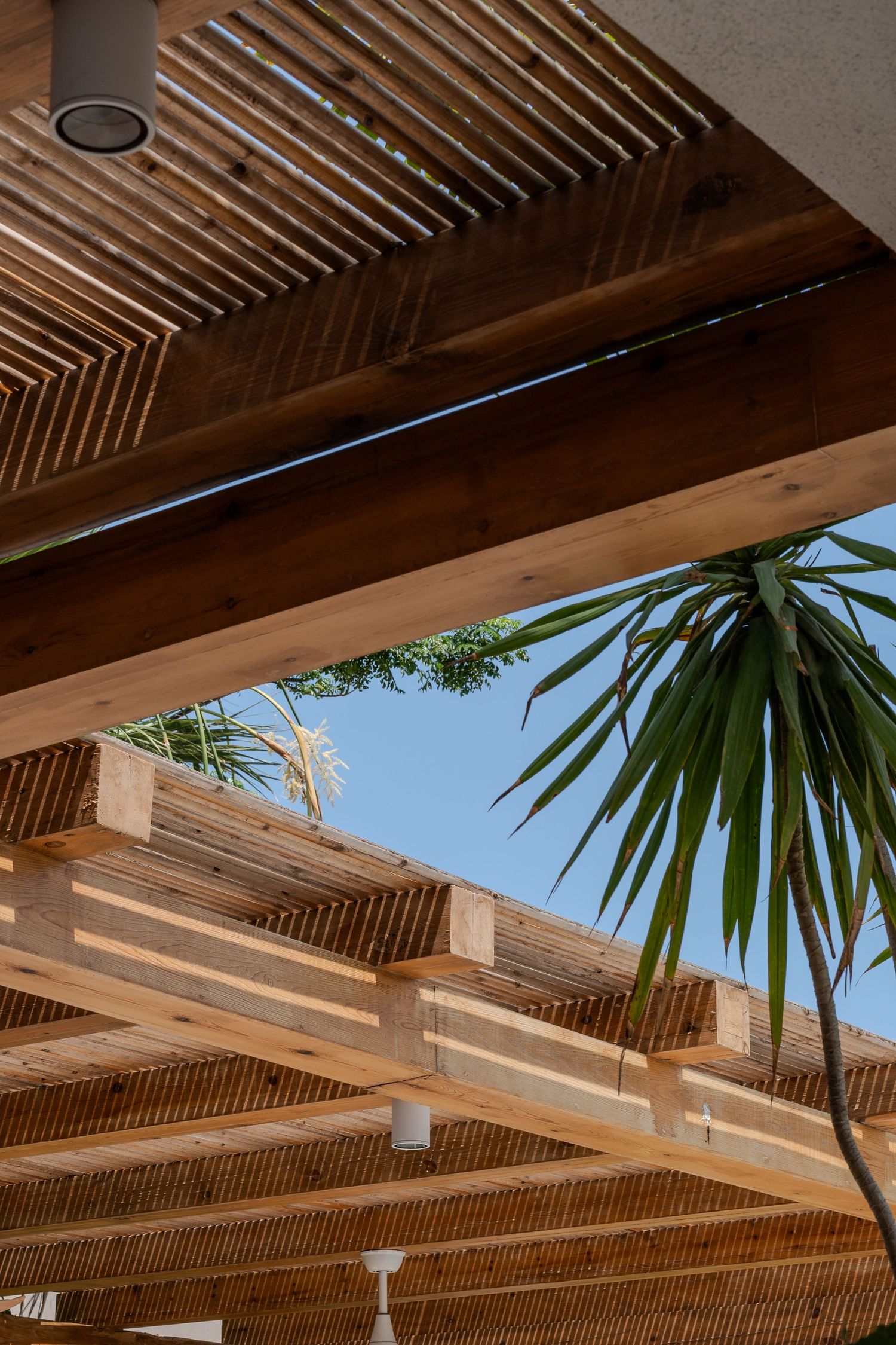 Architectural detail of wooden pergola slats against blue sky with tropical palm tree in background.