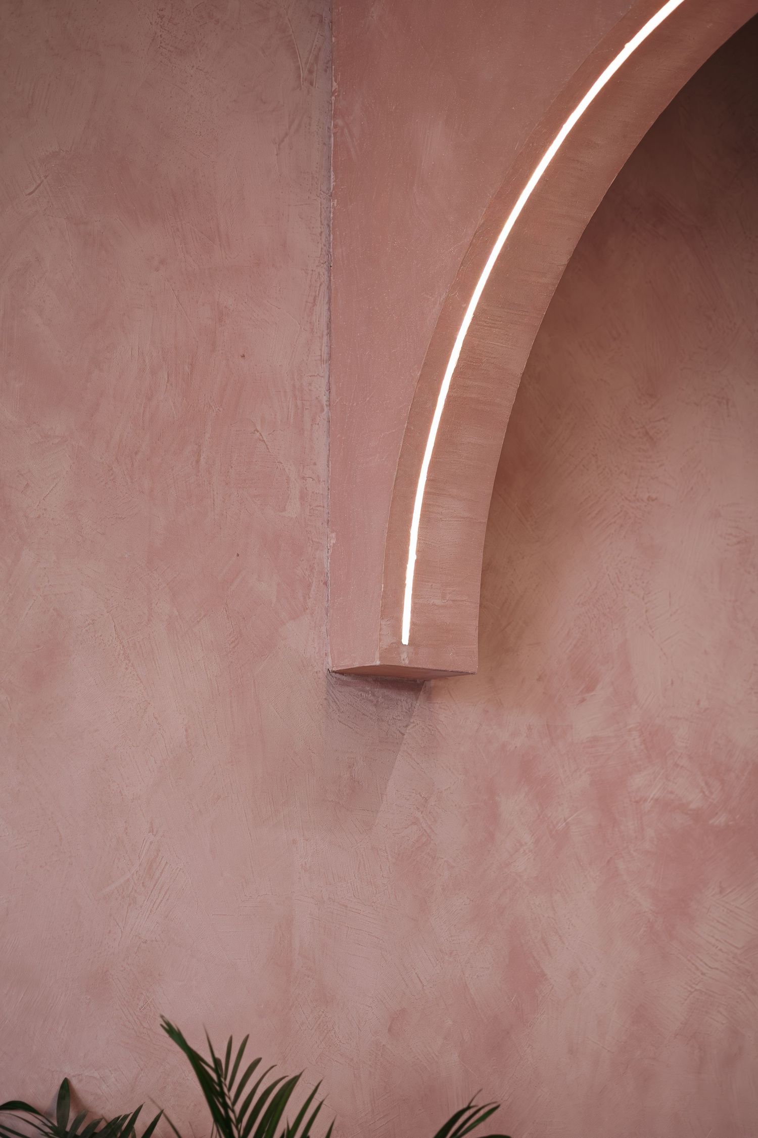 Pink stucco arch wall with integrated LED strip lighting and tropical palm leaves below.