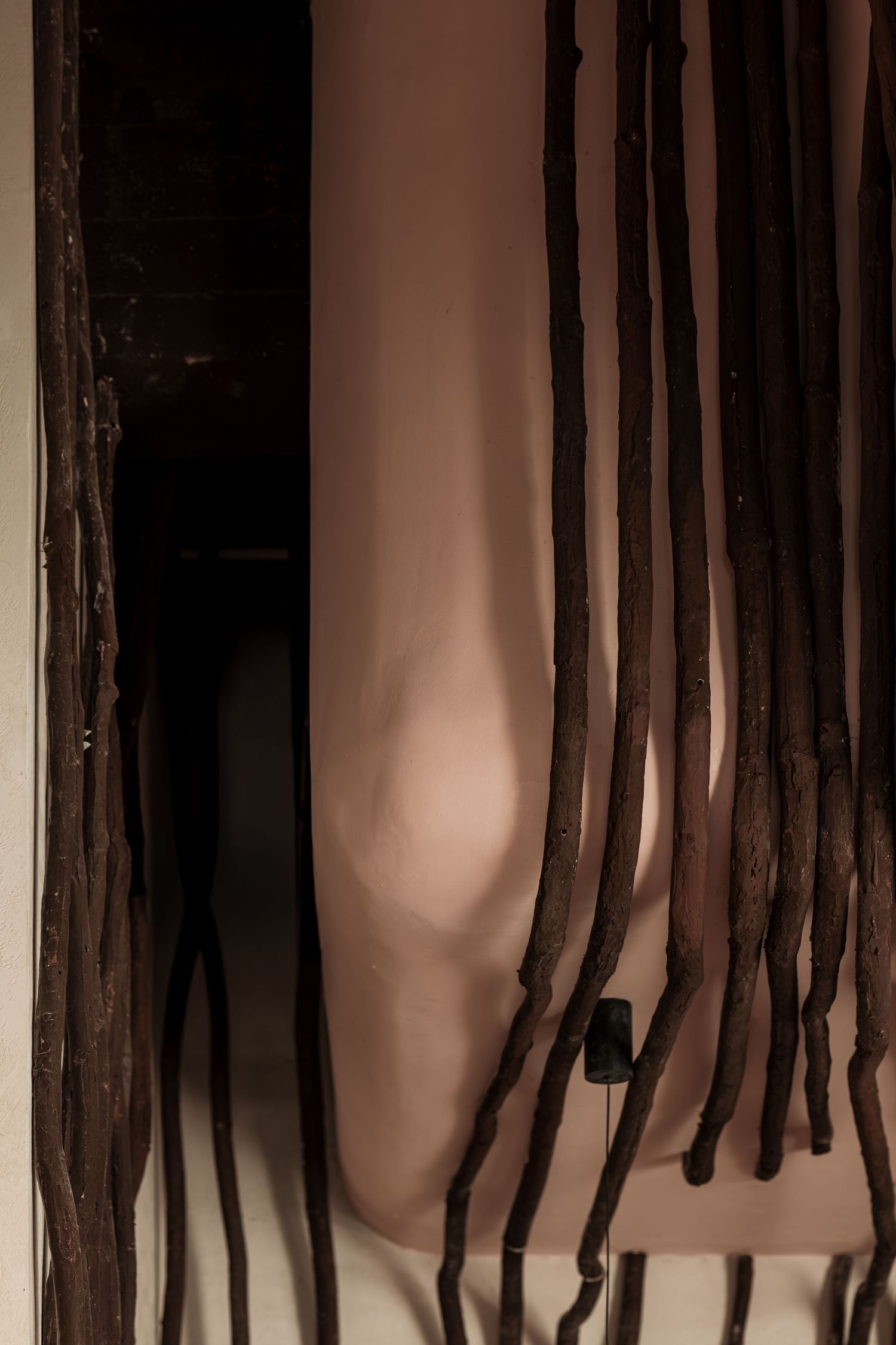Close-up of dark twisted branch installations used as artistic wall decor against a warm beige background.