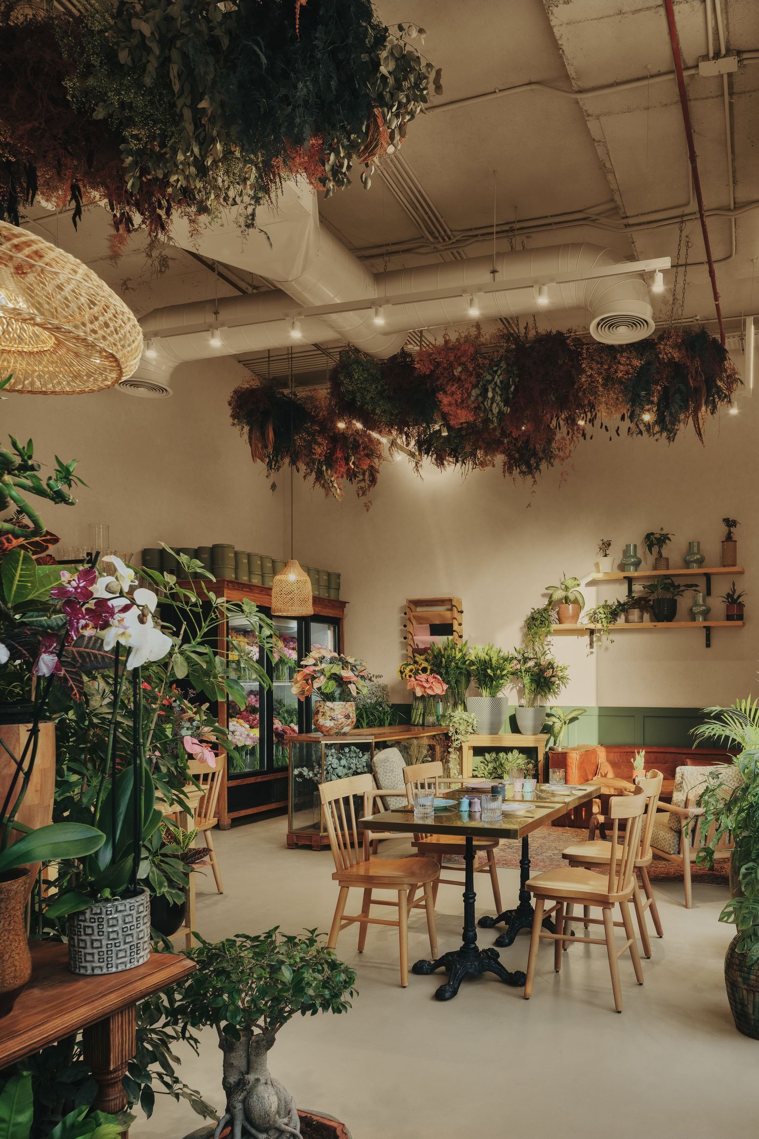Lush botanical cafe interior with hanging dried plants, Edison bulbs, and wooden dining furniture.