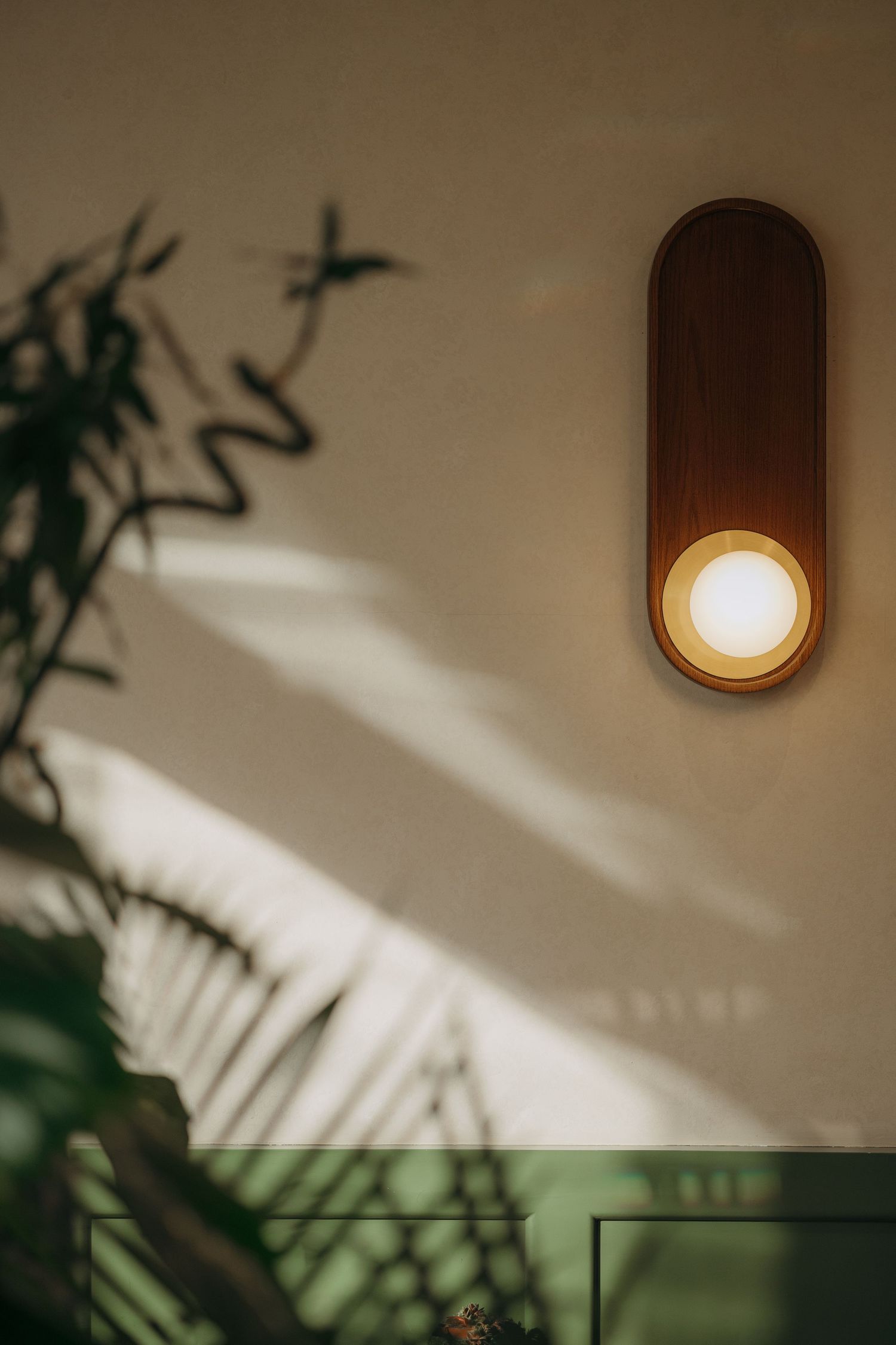 Oval wooden wall sconce with glowing globe bulb casting shadows of tropical plants on beige wall.
