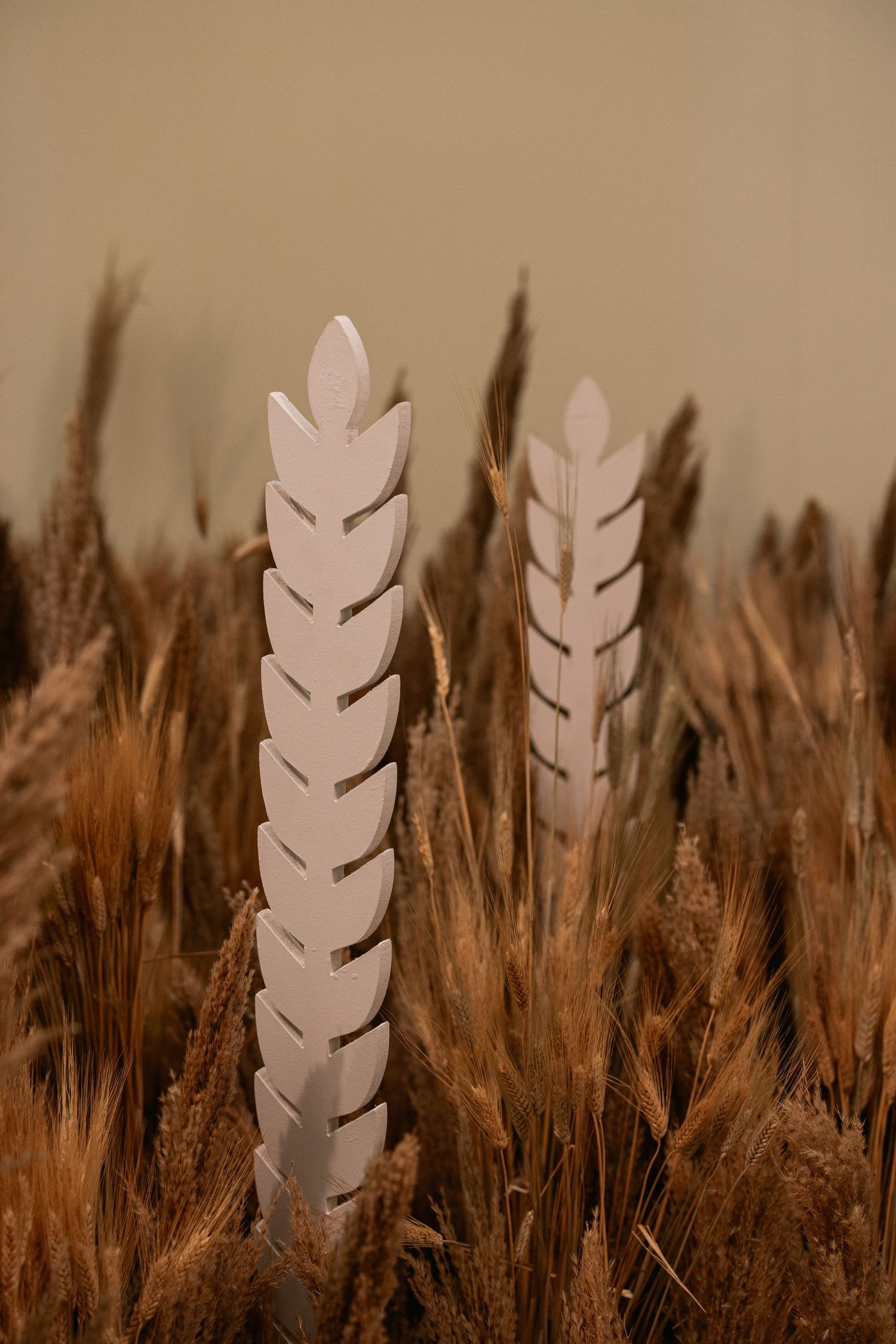White decorative wheat stalk sculptures standing among natural dried golden wheat stalks on beige background.