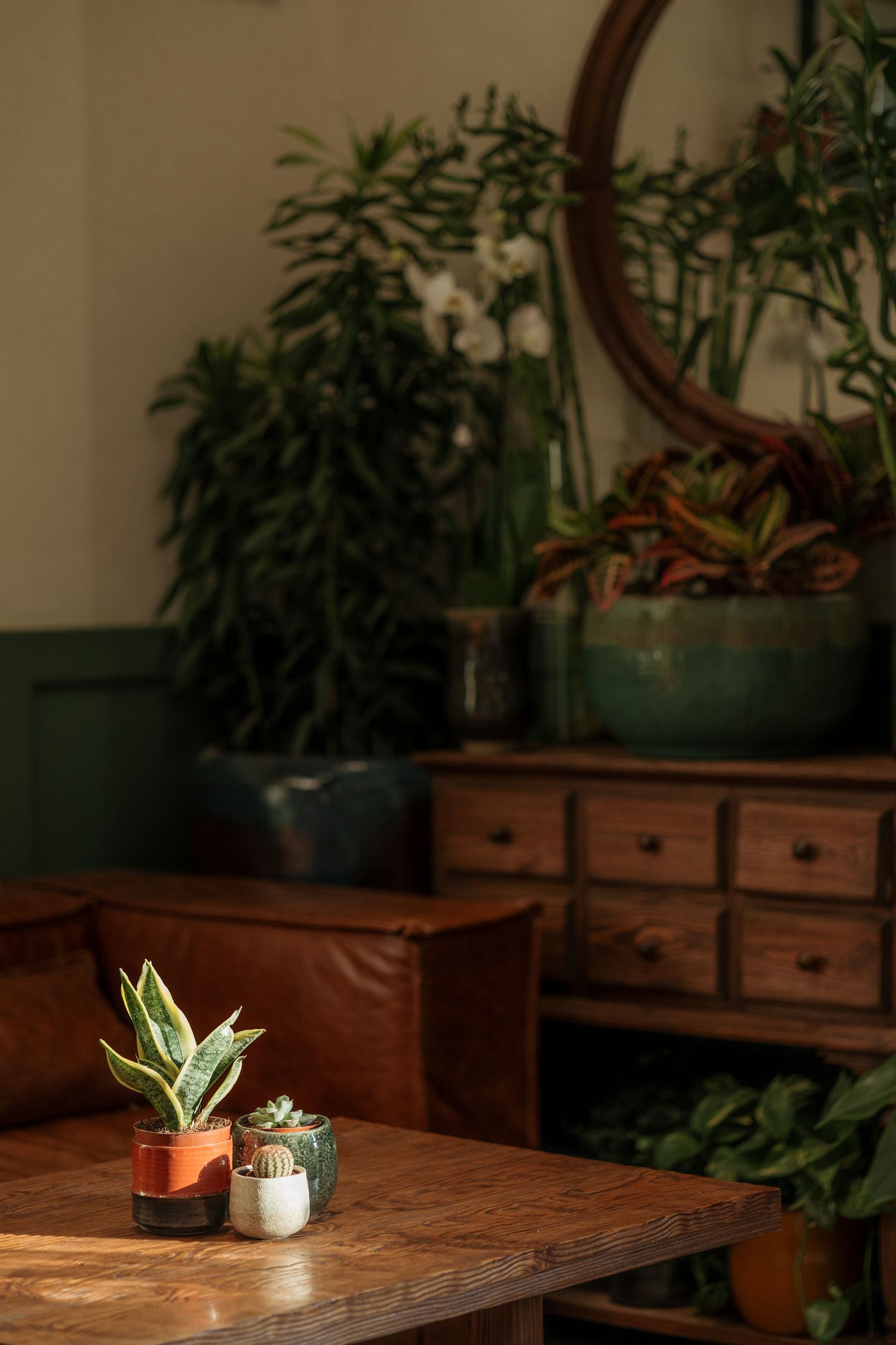 Cozy cafe corner with leather seating, wooden dresser, round mirror, and lush tropical houseplants.
