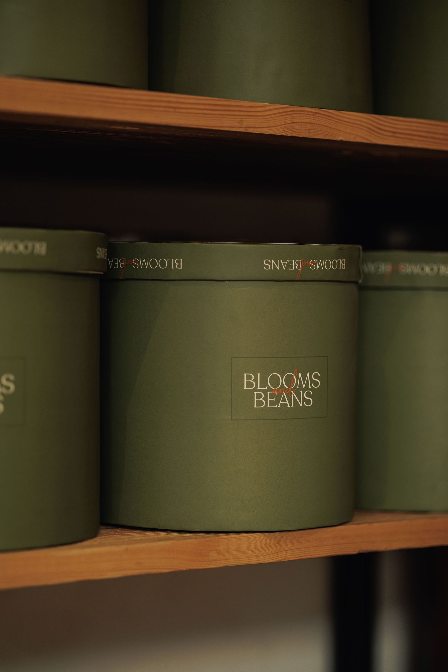Green cylindrical Blooms and Beans branded containers displayed on wooden shelves in a retail setting.