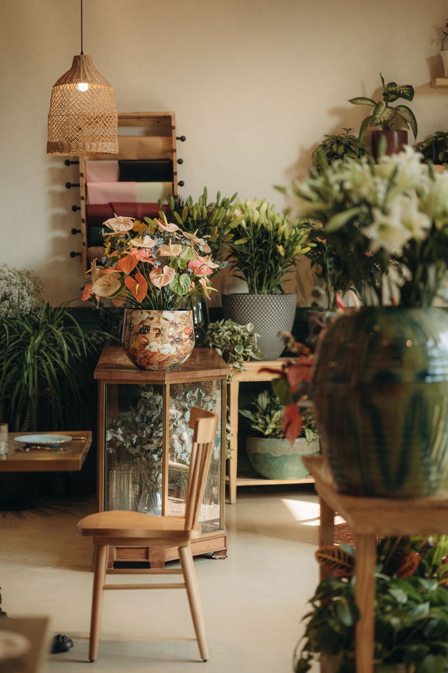 Warm botanical interior featuring wicker pendant lamp, colorful potted plants, wooden chair, and rustic shelving with greenery.