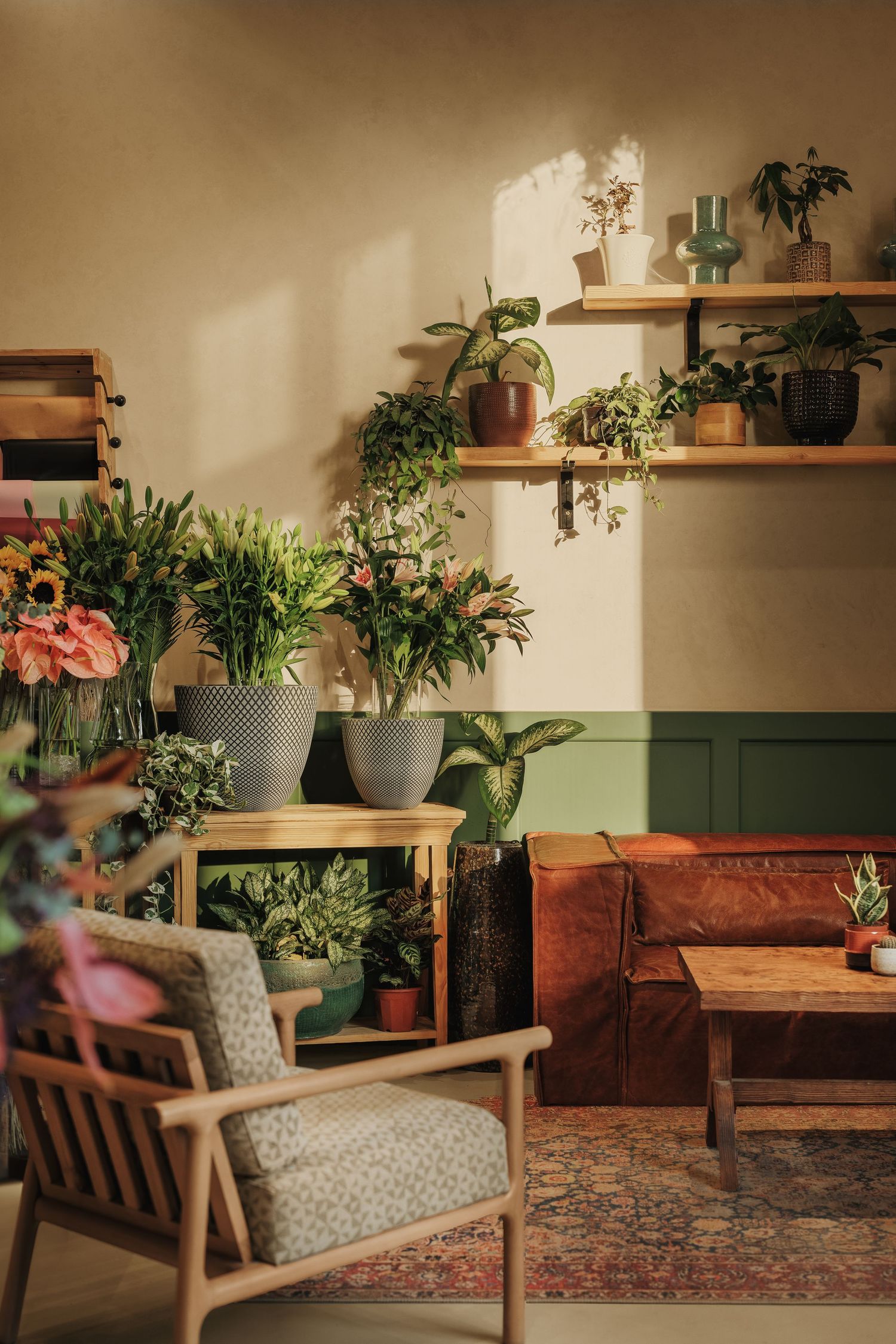 Sunlit bohemian interior with leather sofa, wooden armchair, and abundant potted plants on shelves.